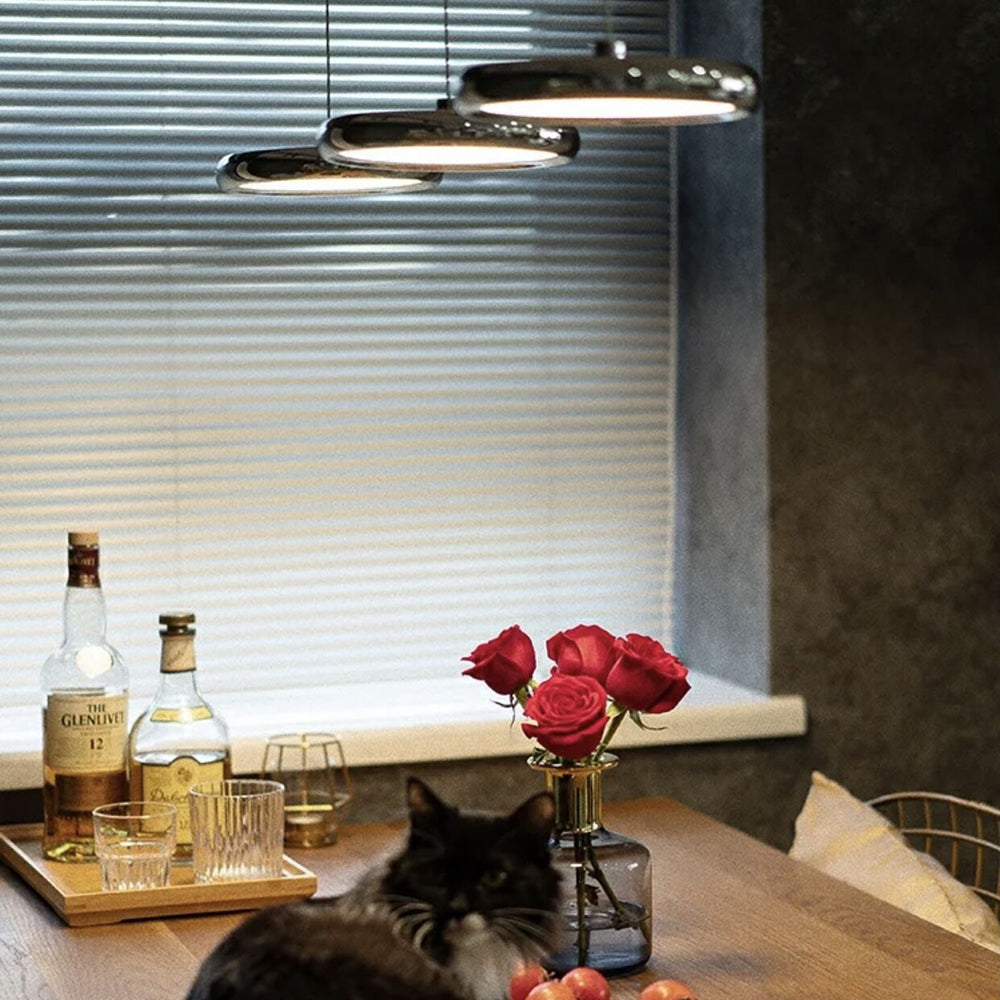 Arisha Modern LED Pendelleuchte Ring Esstisch, 3 Farbe, Metall Acryl