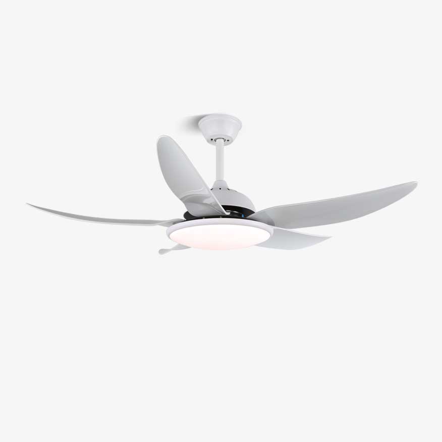 Aquila Moderner Deckenventilator mit Licht, installiert in einem Wohnzimmer