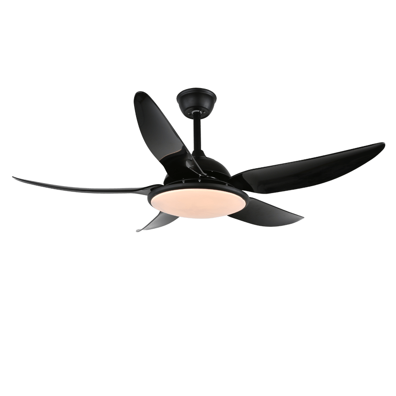 Detaillierte Ansicht des Motors aus reinem Kupfer des Aquila Modernen Deckenventilators mit Licht
