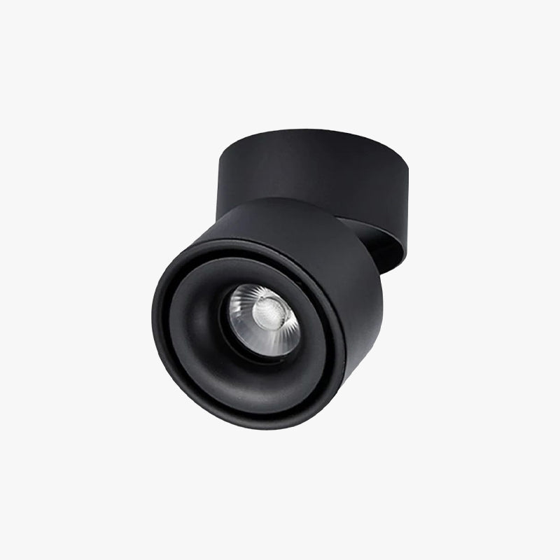 Thyn Runde drehbare Deckenleuchte mit Spotfunktion