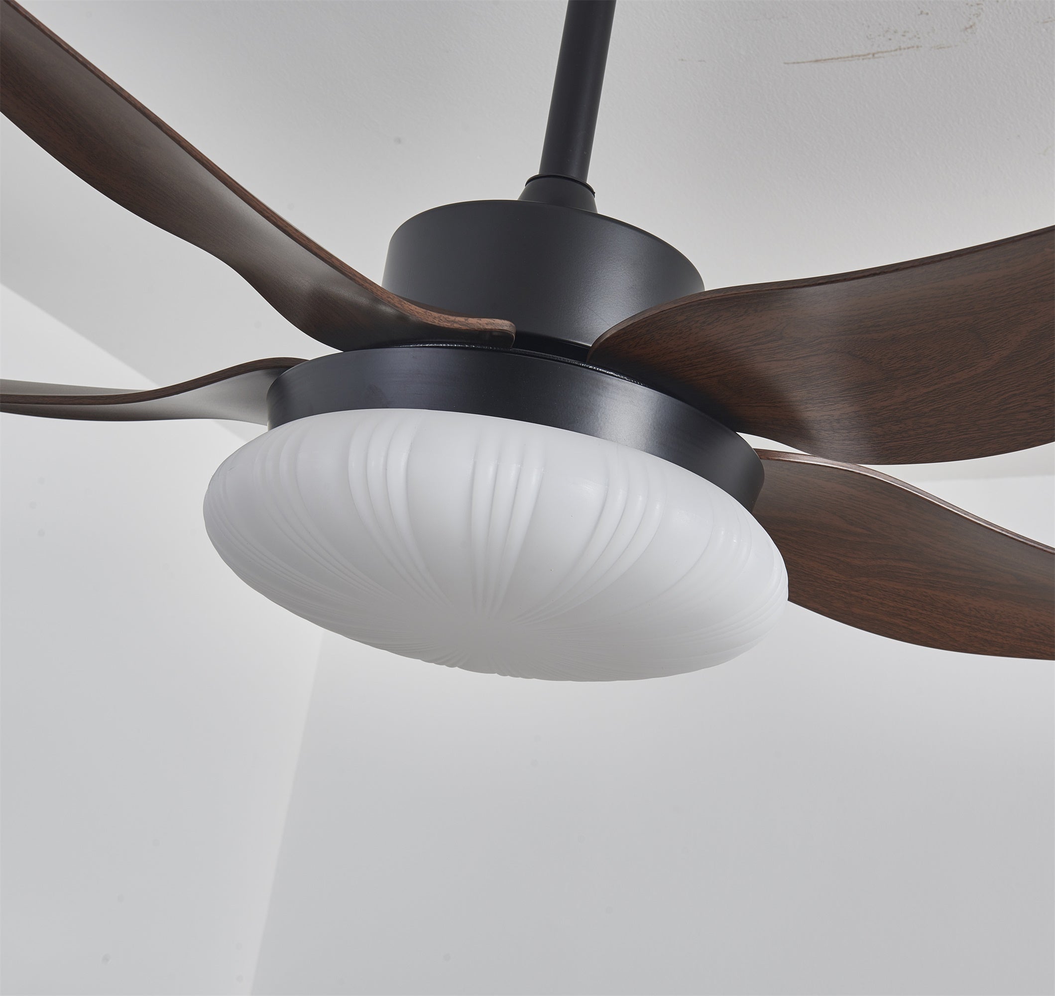 Zerith Deckenventilator mit Beleuchtung, Detail der IP20 feuchtraumgeeigneten Konstruktion