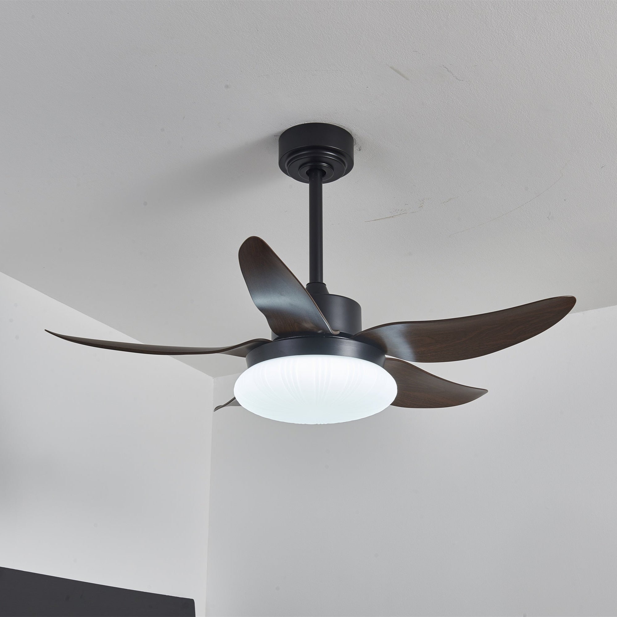 Zerith Deckenventilator mit Beleuchtung, installiert in einem modernen Wohnzimmer