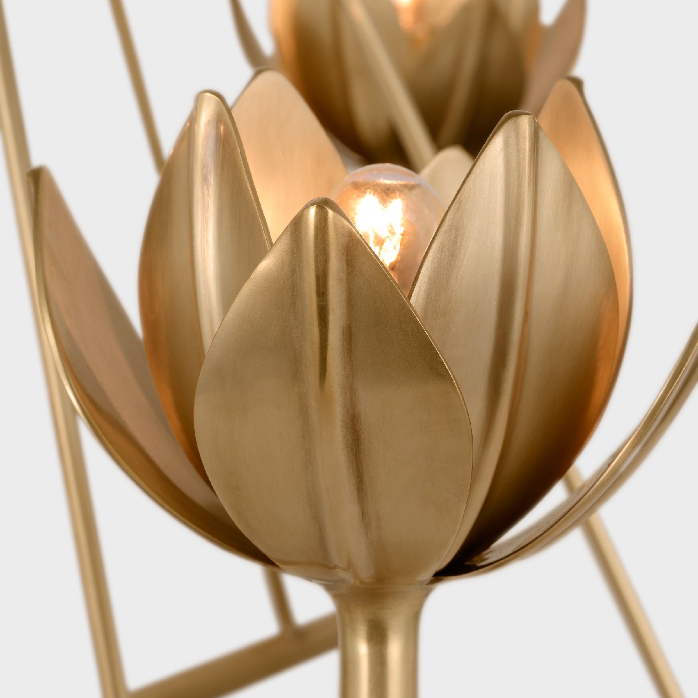 Alberto Modern Minimalist Floral Brass Chandelier - Letslighting