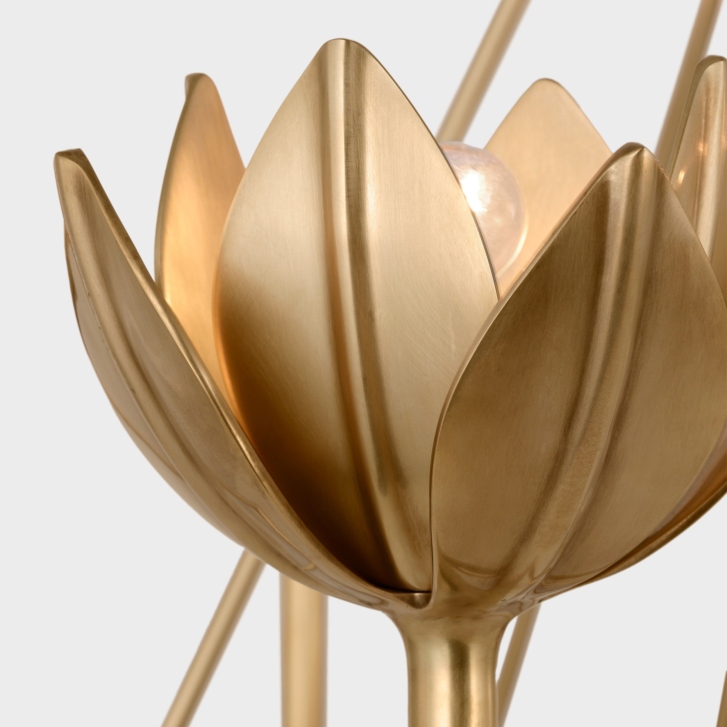 Alberto Modern Minimalist Floral Brass Chandelier - Letslighting