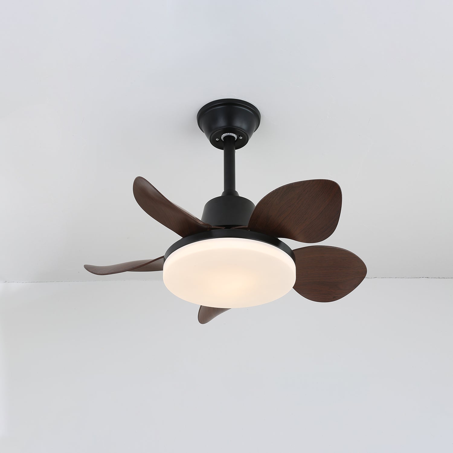 Schräge Ansicht des Veyra Modernen Holz-Deckenventilators mit Licht