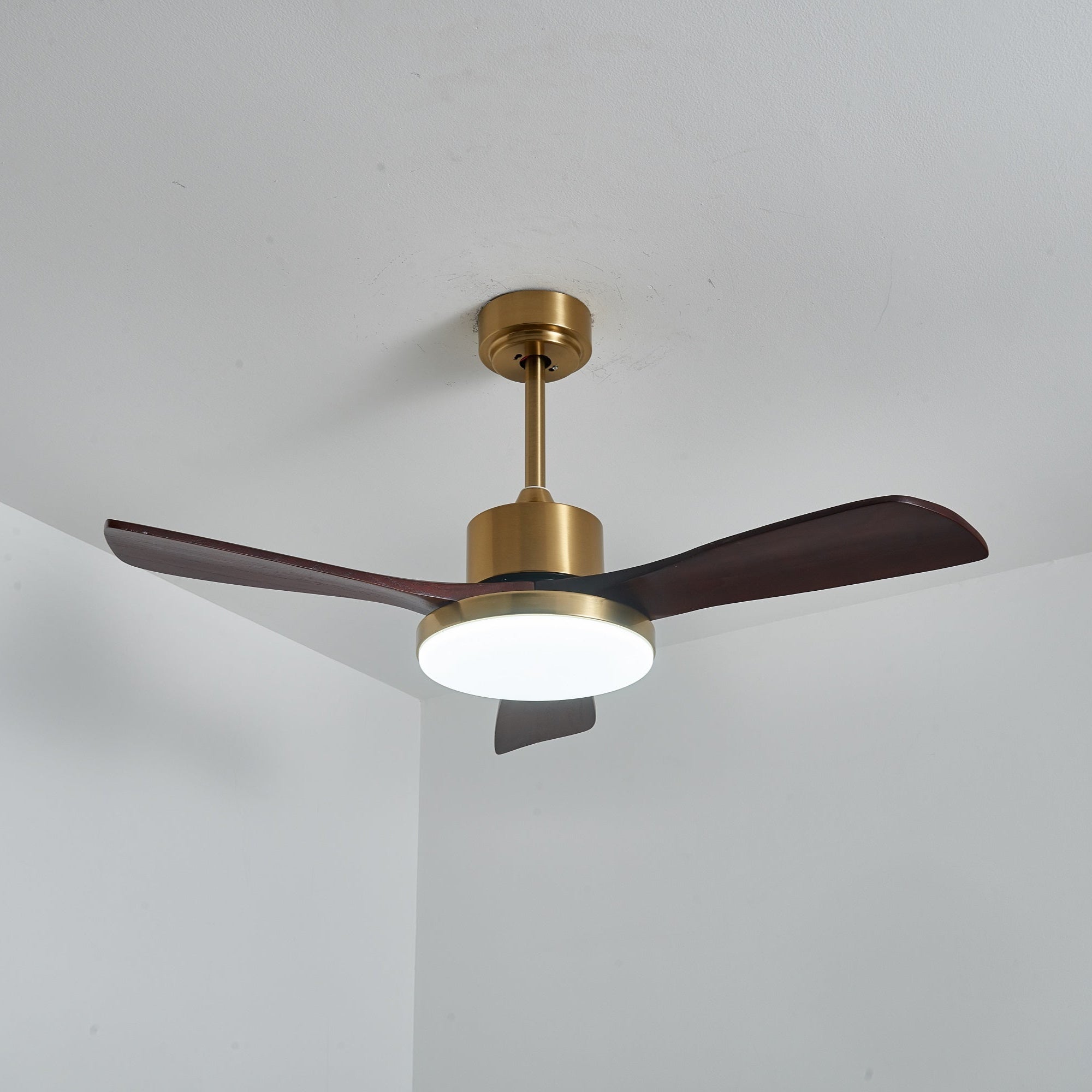 Nahaufnahme der Walnussoberfläche des Xen Modernen Deckenventilators mit Licht