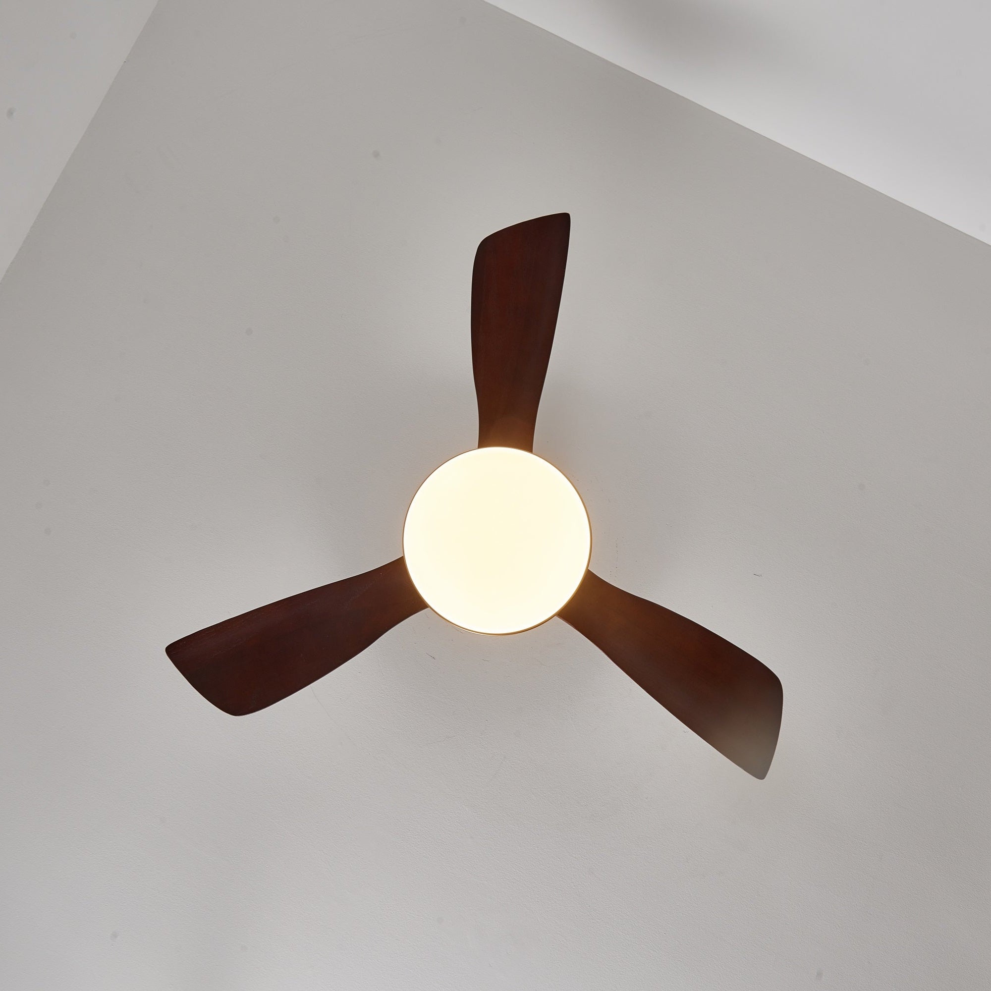 Xen Deckenventilator mit Licht, Lifestyle-Aufnahme