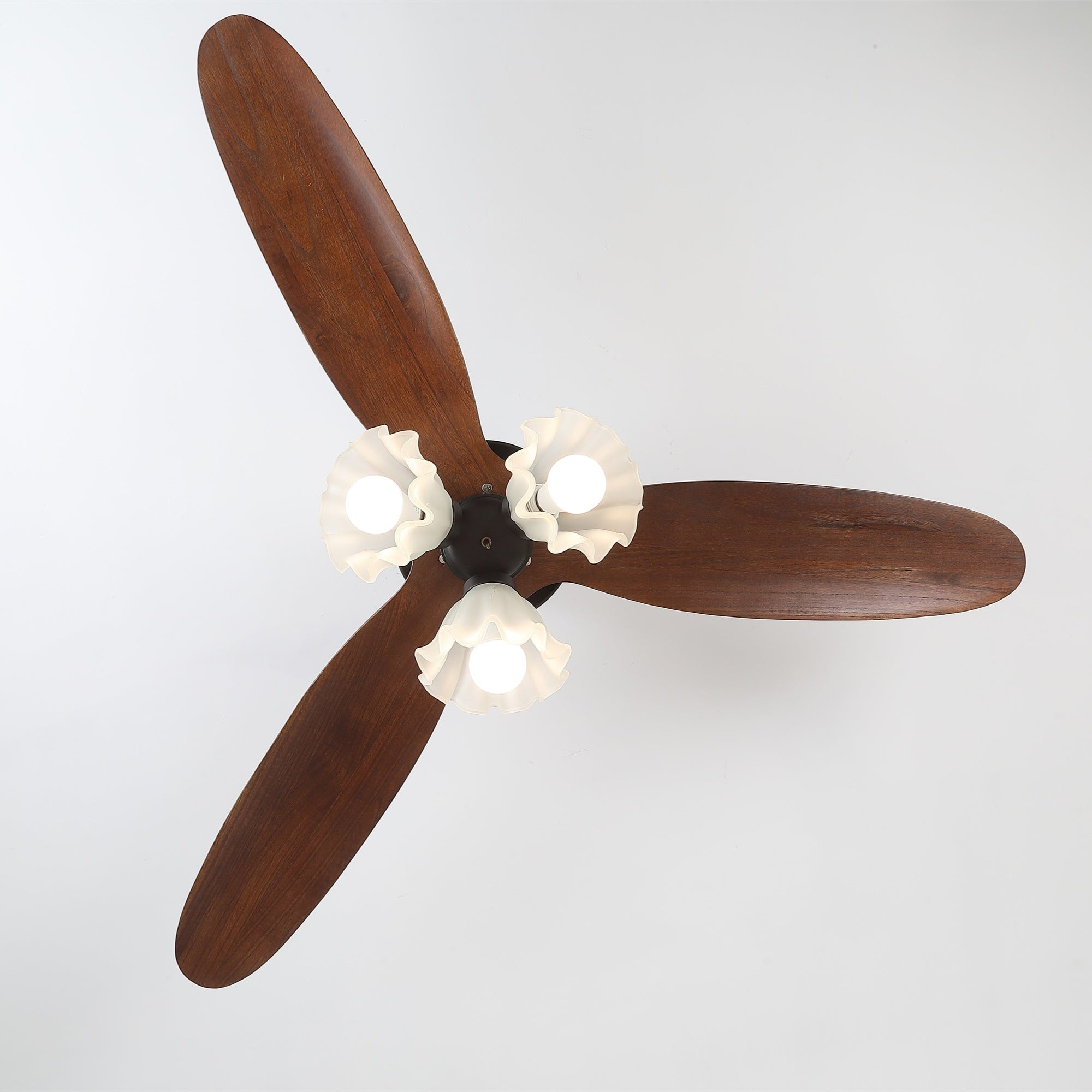 Novrik Air Ventilatorleuchte an einer Decke installiert, Gesamtansicht.