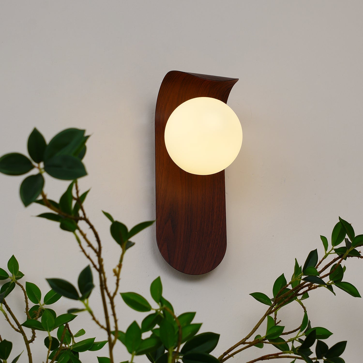 Exuro Wandleuchte für den Innenbereich aus Holz / Nussbaum