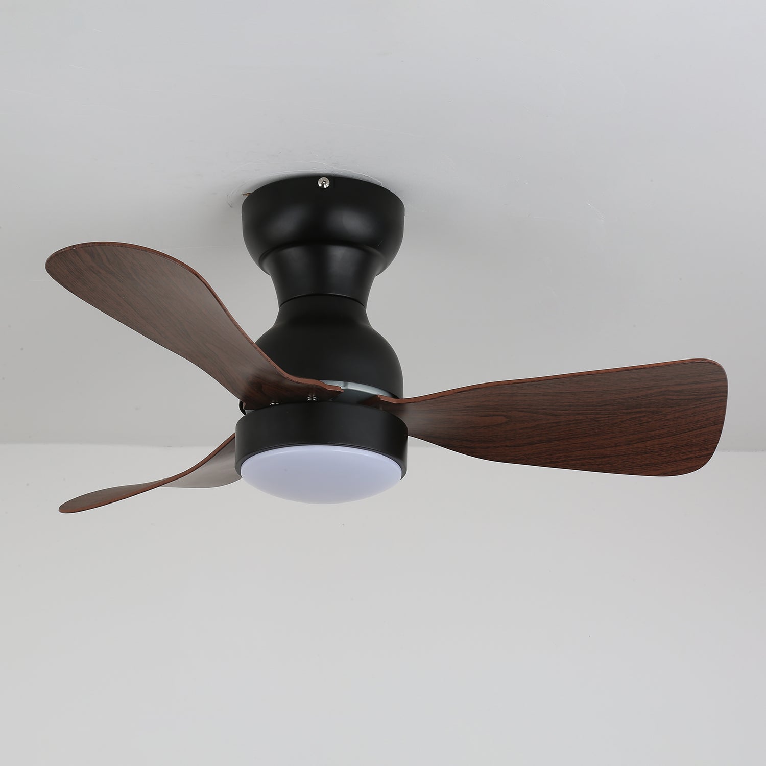Nahaufnahme des Motorgehäuses aus reinem Kupfer am Aurdorus Ventilator