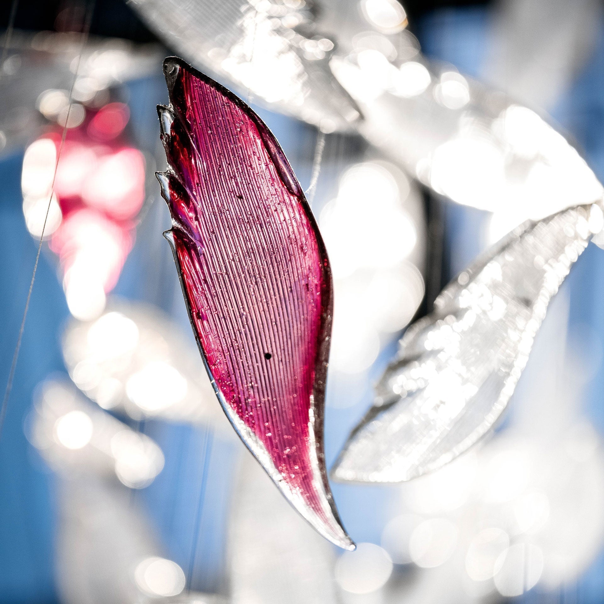 Zathaara Glas Feder Form Kronleuchter-Letslighting