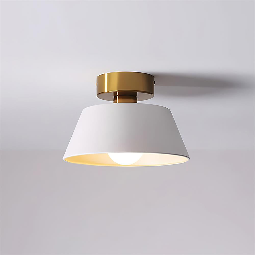 Wren Metal Modern Minimalist Ceiling Light-Letslighting