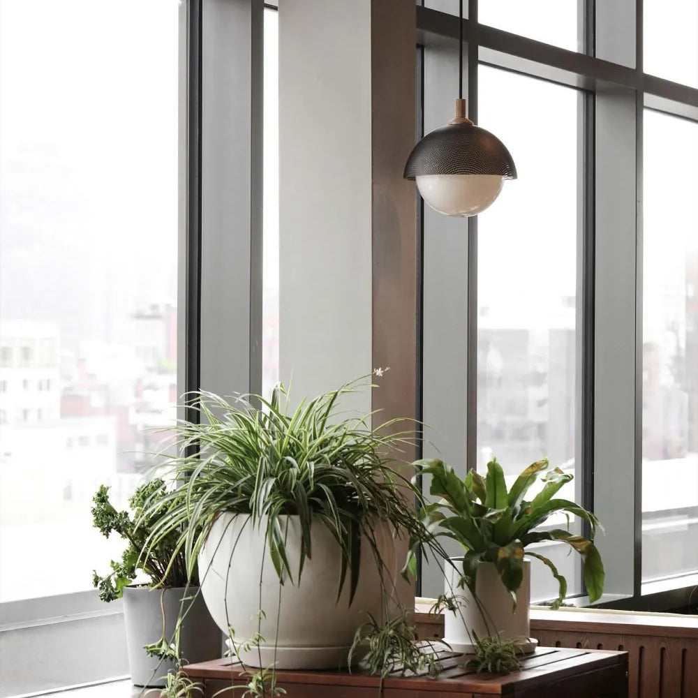 Pith Kuppel Perforiert Holz Pendelleuchte-Letslighting