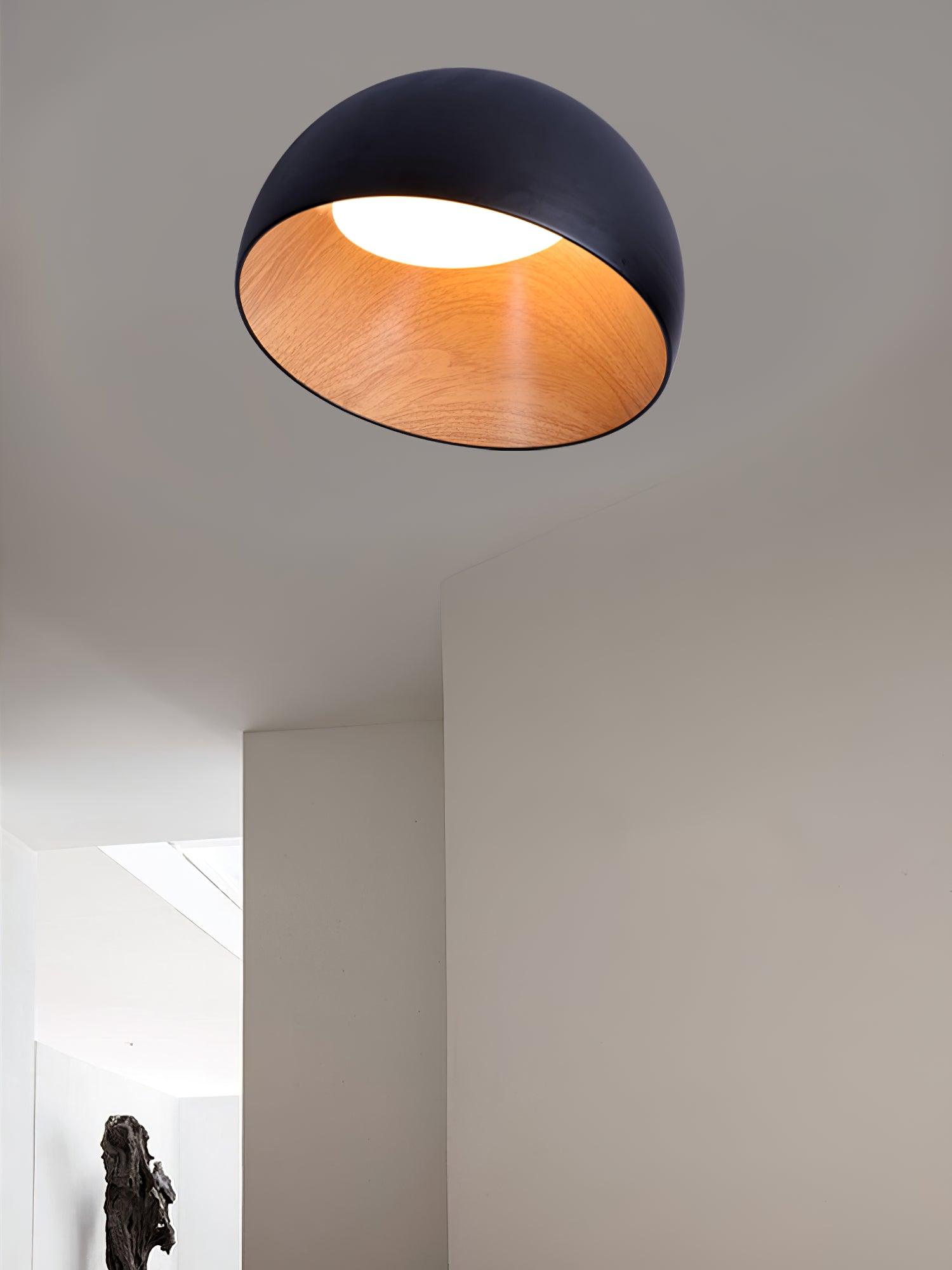 Parker Minimalist Metal Ceiling Lamp-Letslighting