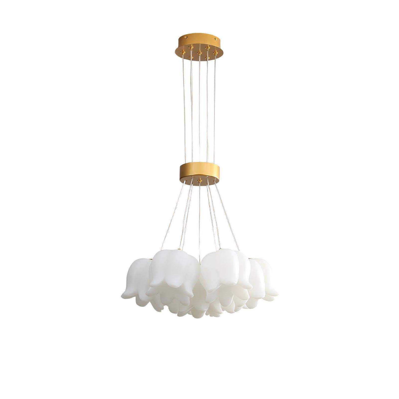 Tucker Lily Modern Pendelleuchte Leuchte-Letslighting