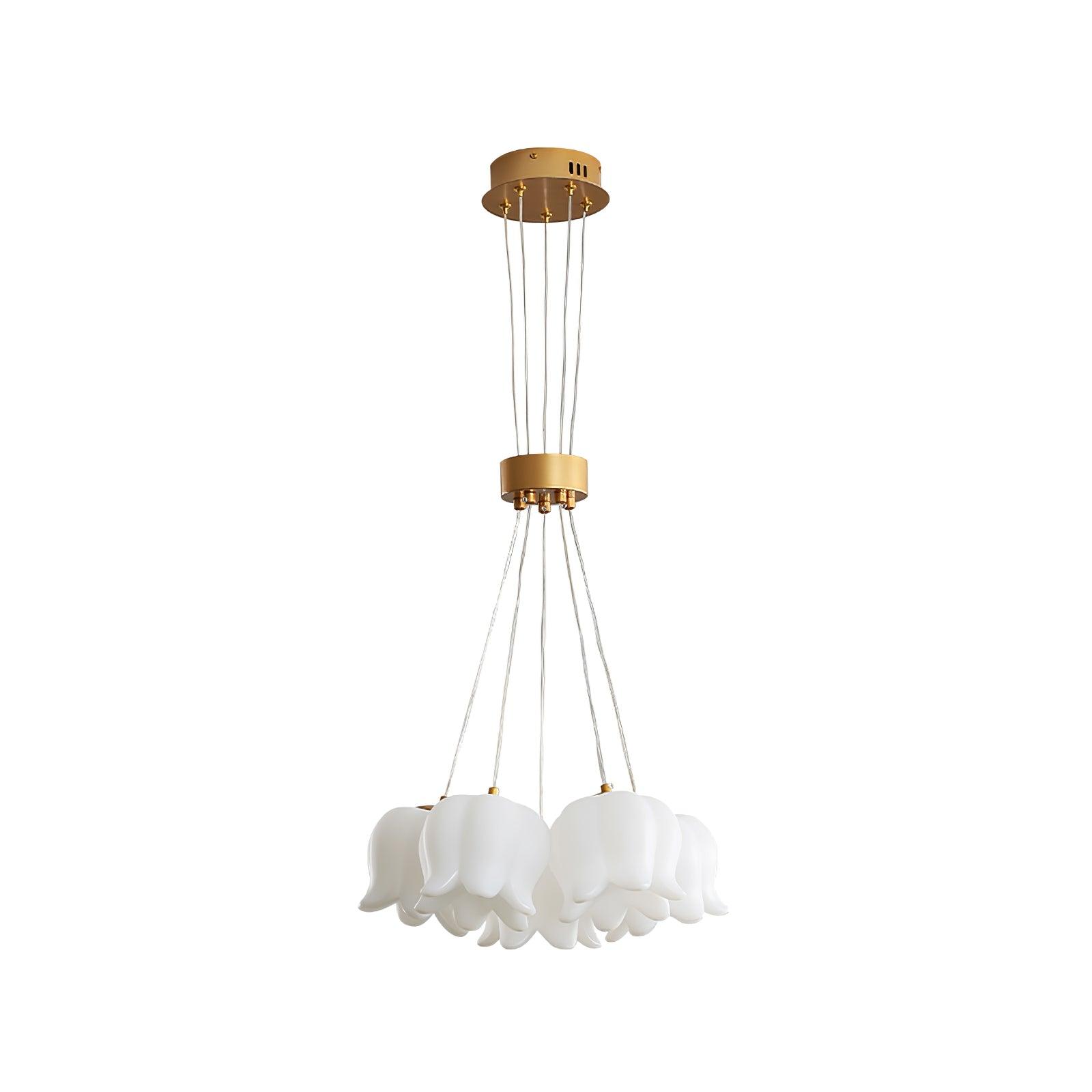 Tucker Lily Modern Pendelleuchte Leuchte-Letslighting