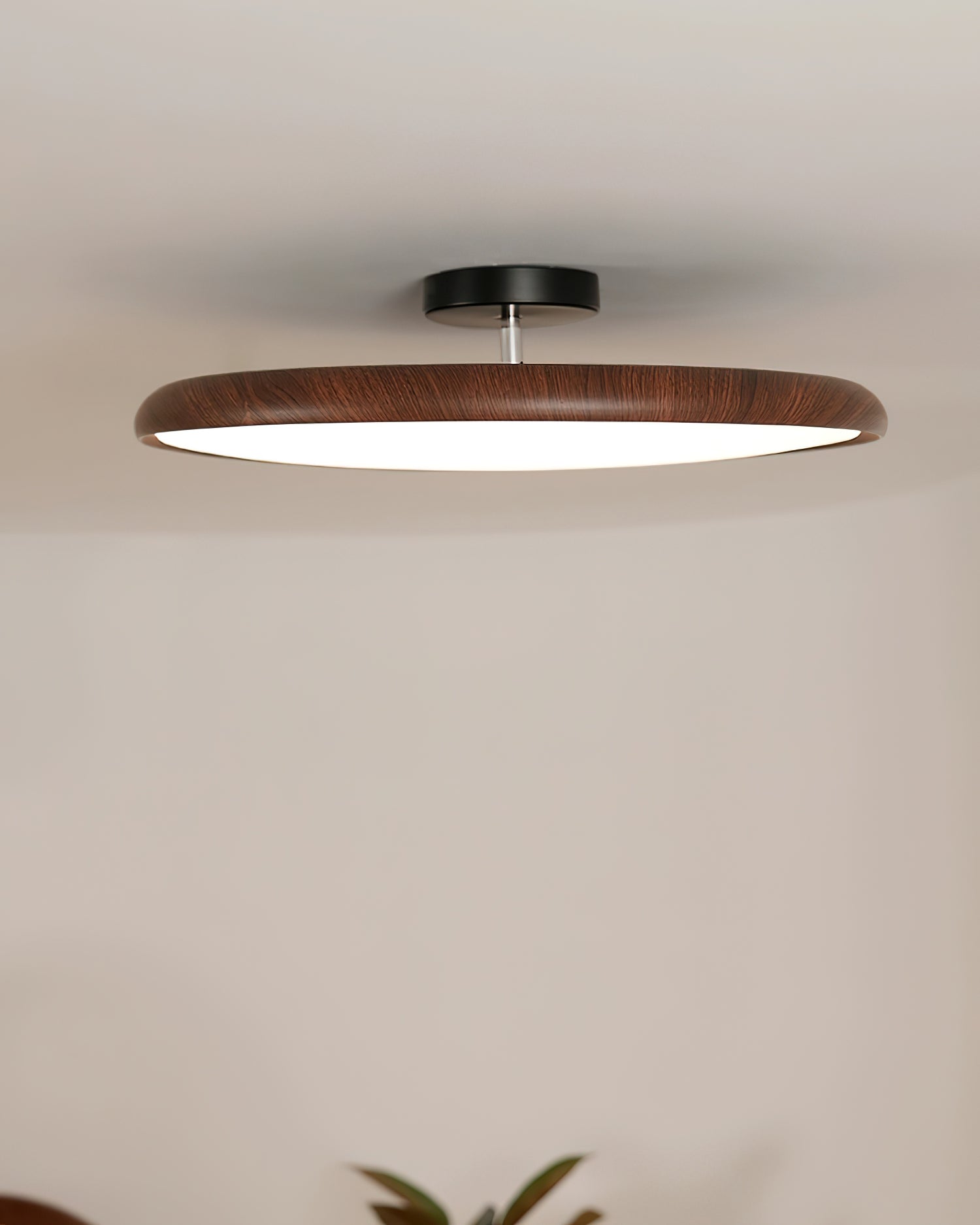 Cavelo Oval Halb-Aufbaumontierte Deckenleuchte-Letslighting