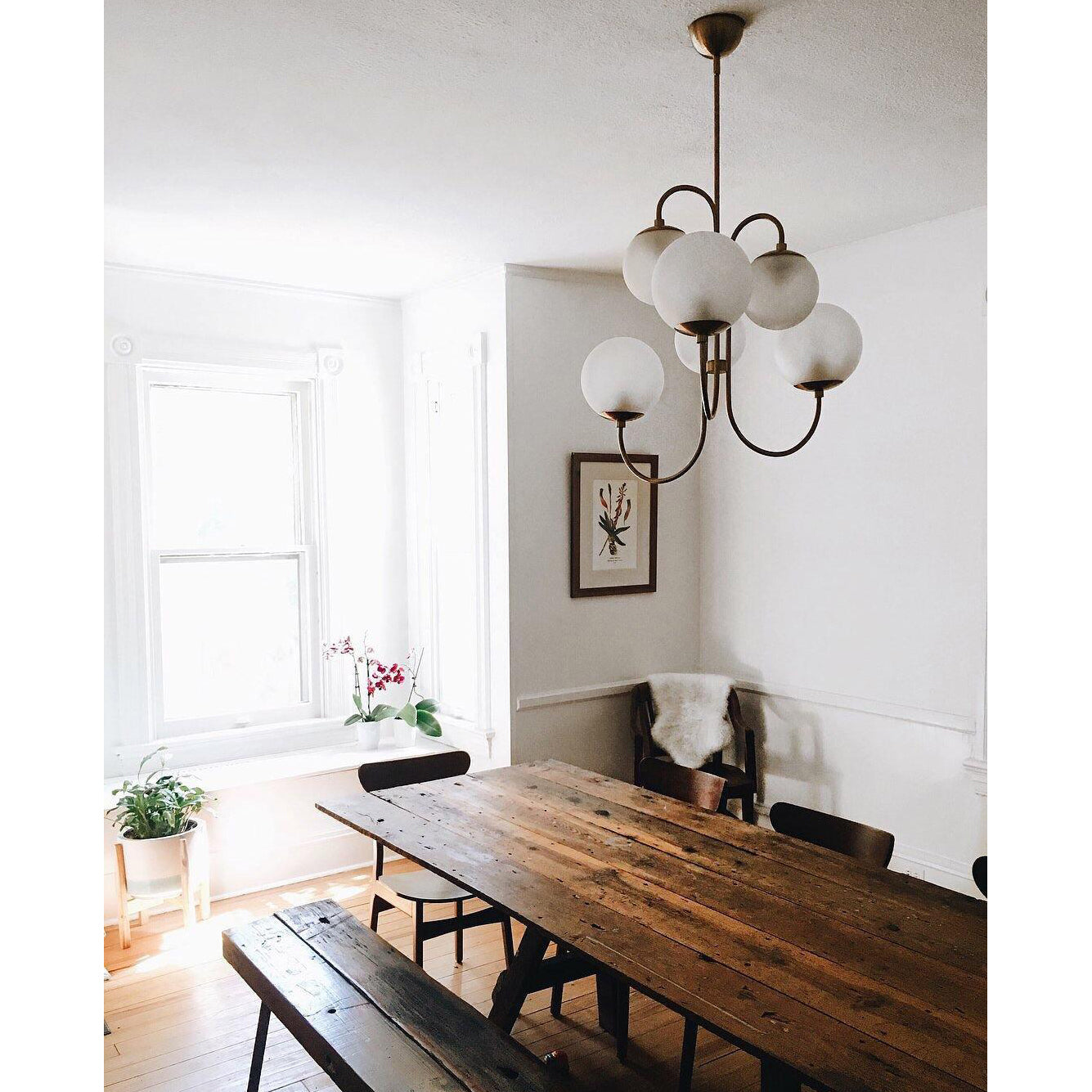 Zathaor Individual Creativity Metal Glass Chandelier - Letslighting