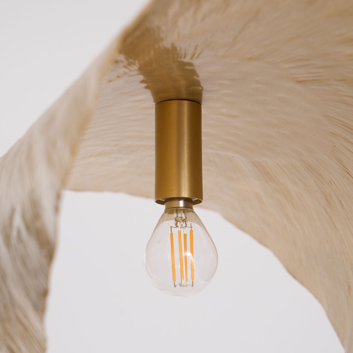 Solere Pendelleuchte Minimalistisch-Letslighting