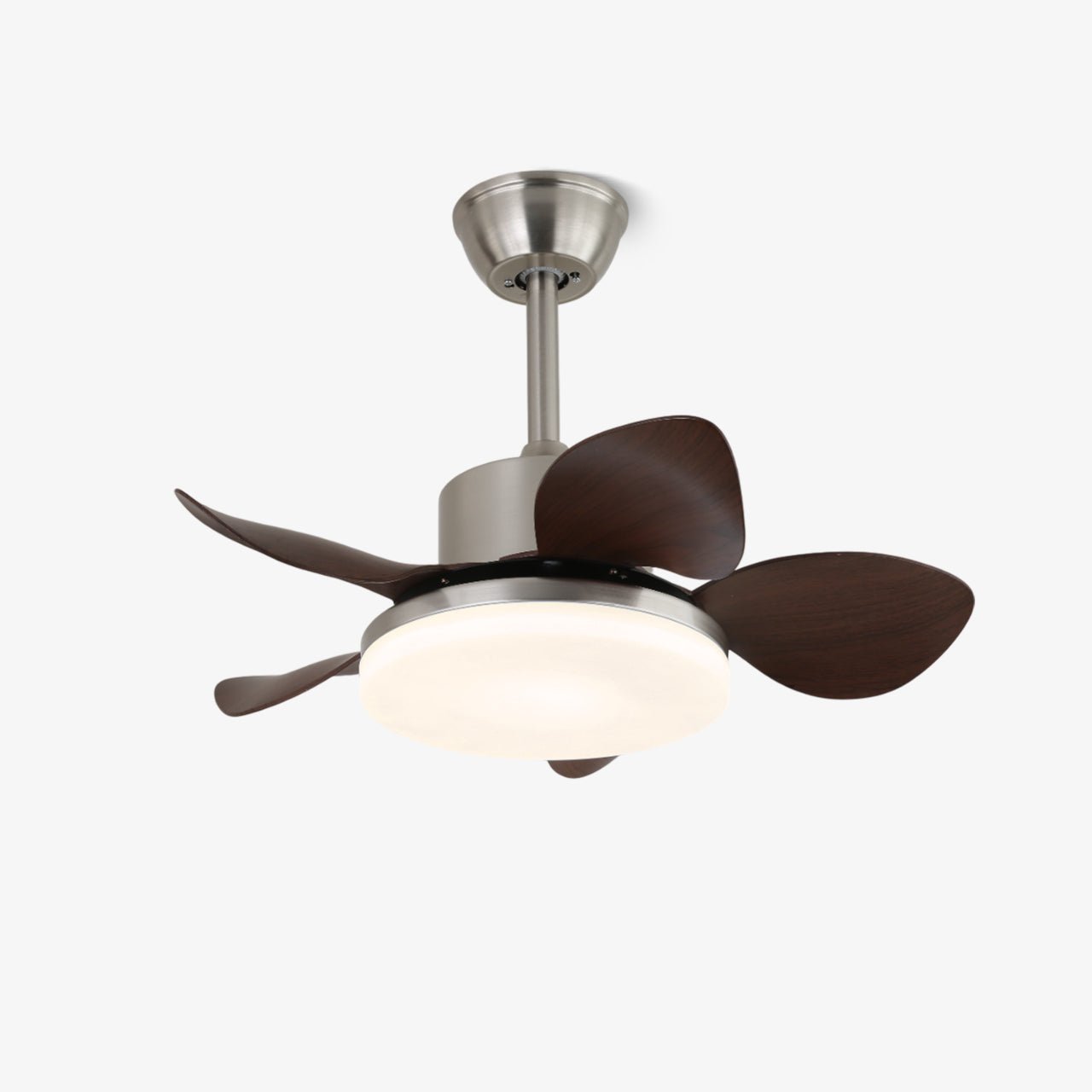 Kaelen Deckenventilatorleuchte mit Walnussholzflügeln und weißem Schirm, ausgeschaltet.