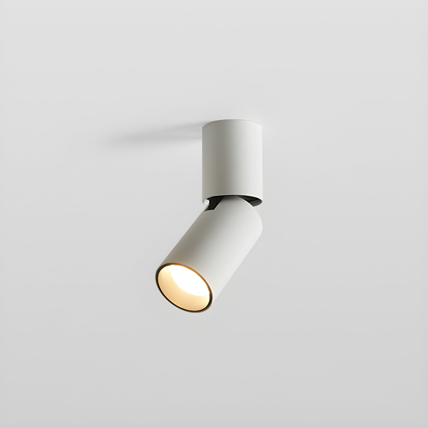 Elvynira Verstellbare Surface Downlight-Deckenleuchte-Letslighting