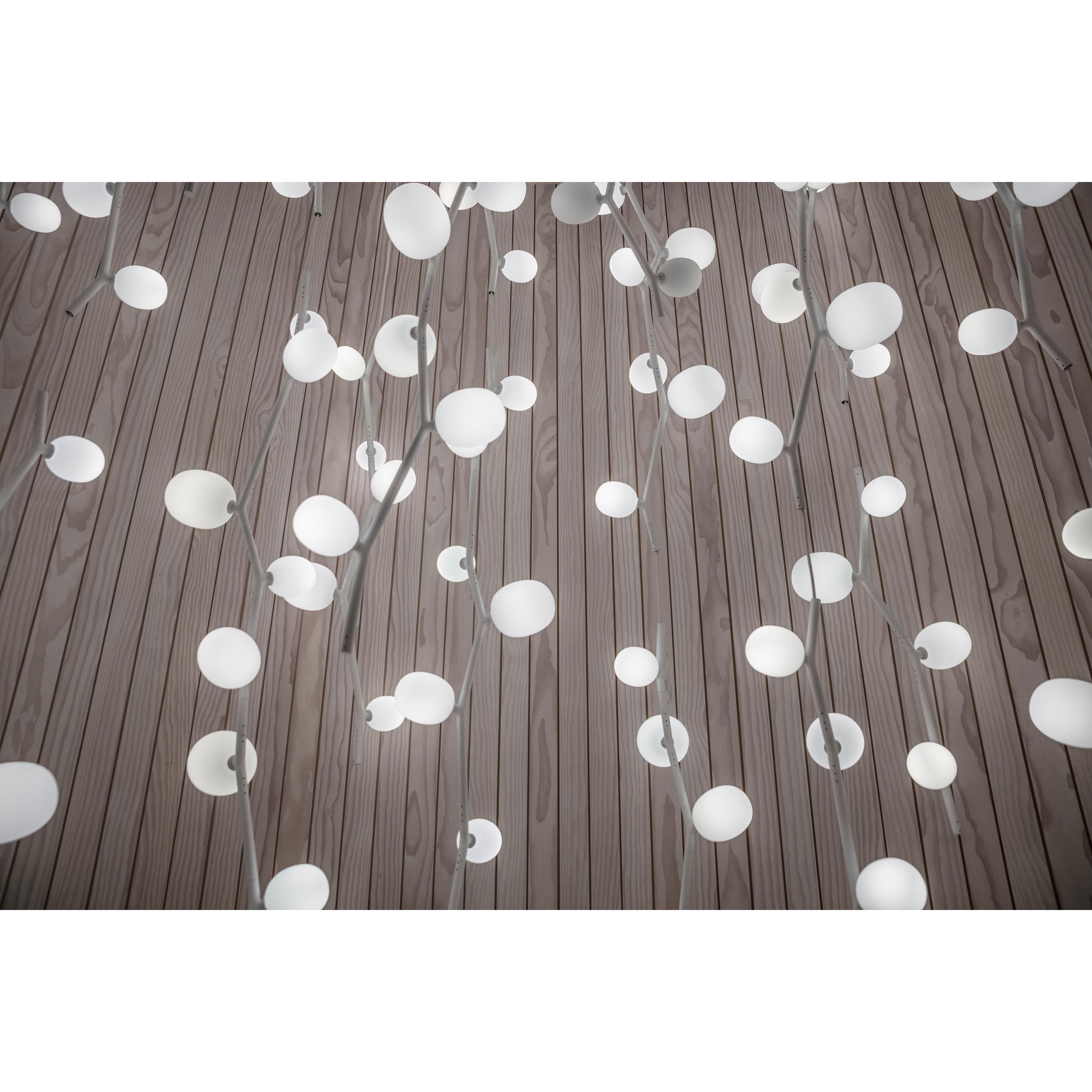 Isolora Vertikal Glas Pendelleuchte-Letslighting