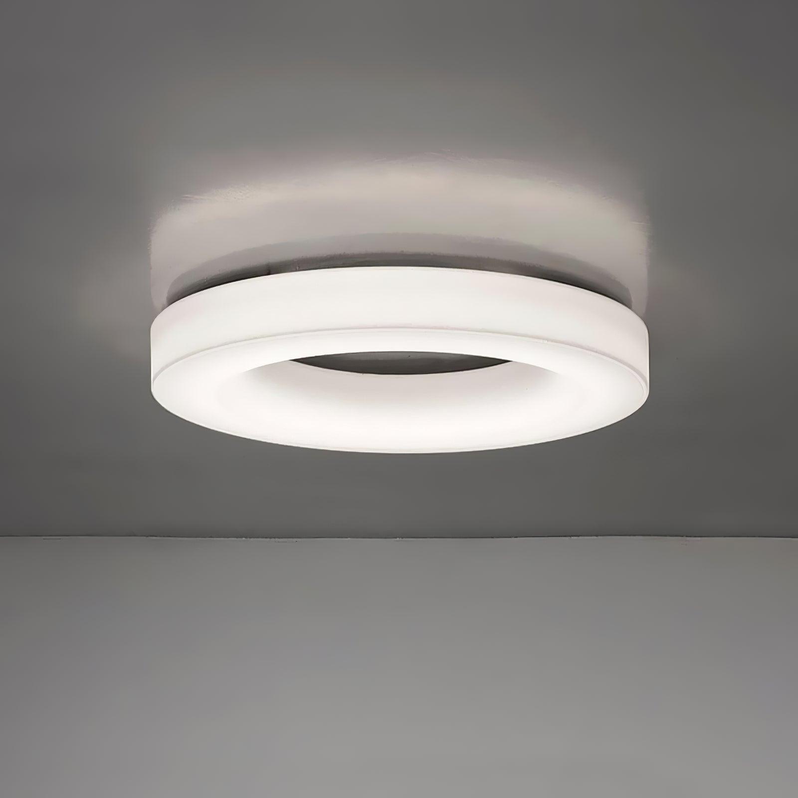 Erraeiel Moderne Minimalistische Kunst Deckenleuchte-Letslighting