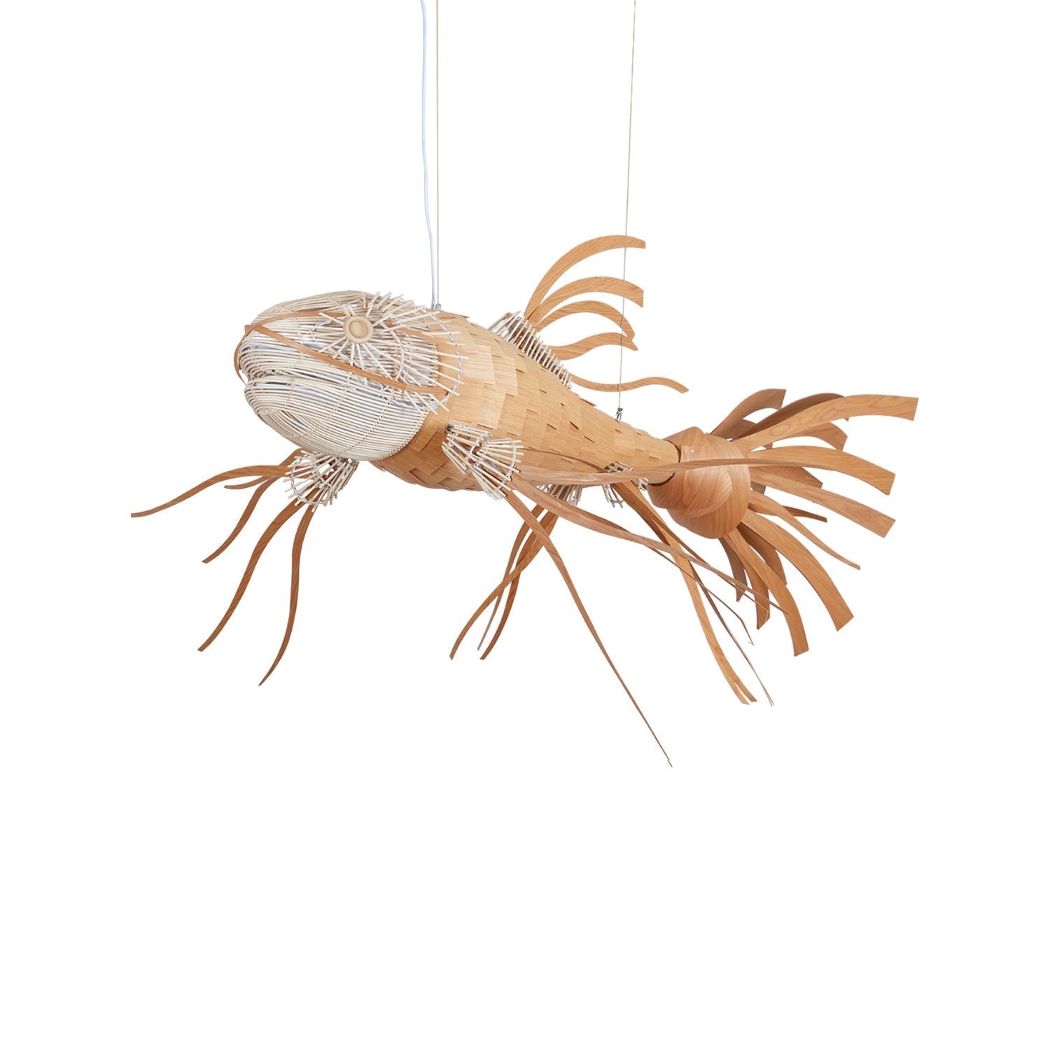 Koi Chandelier - Blowlighting