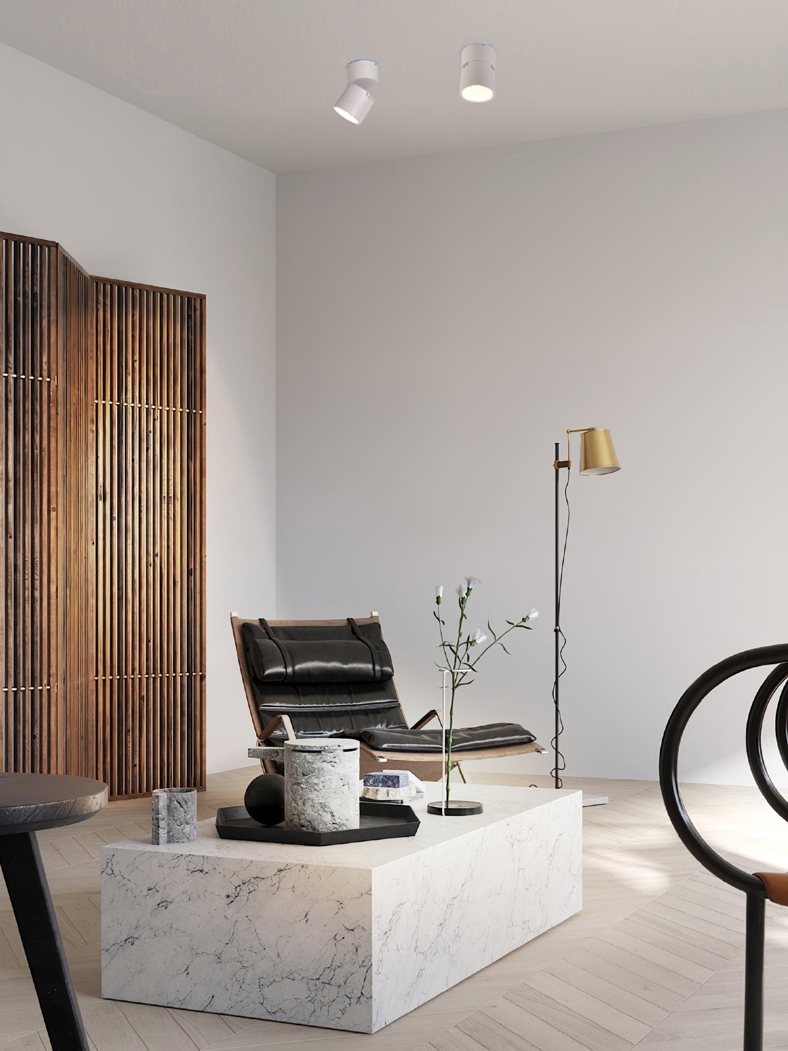Alvynora Deckenleuchte Modern Minimalistisch Spotlights-Letslighting