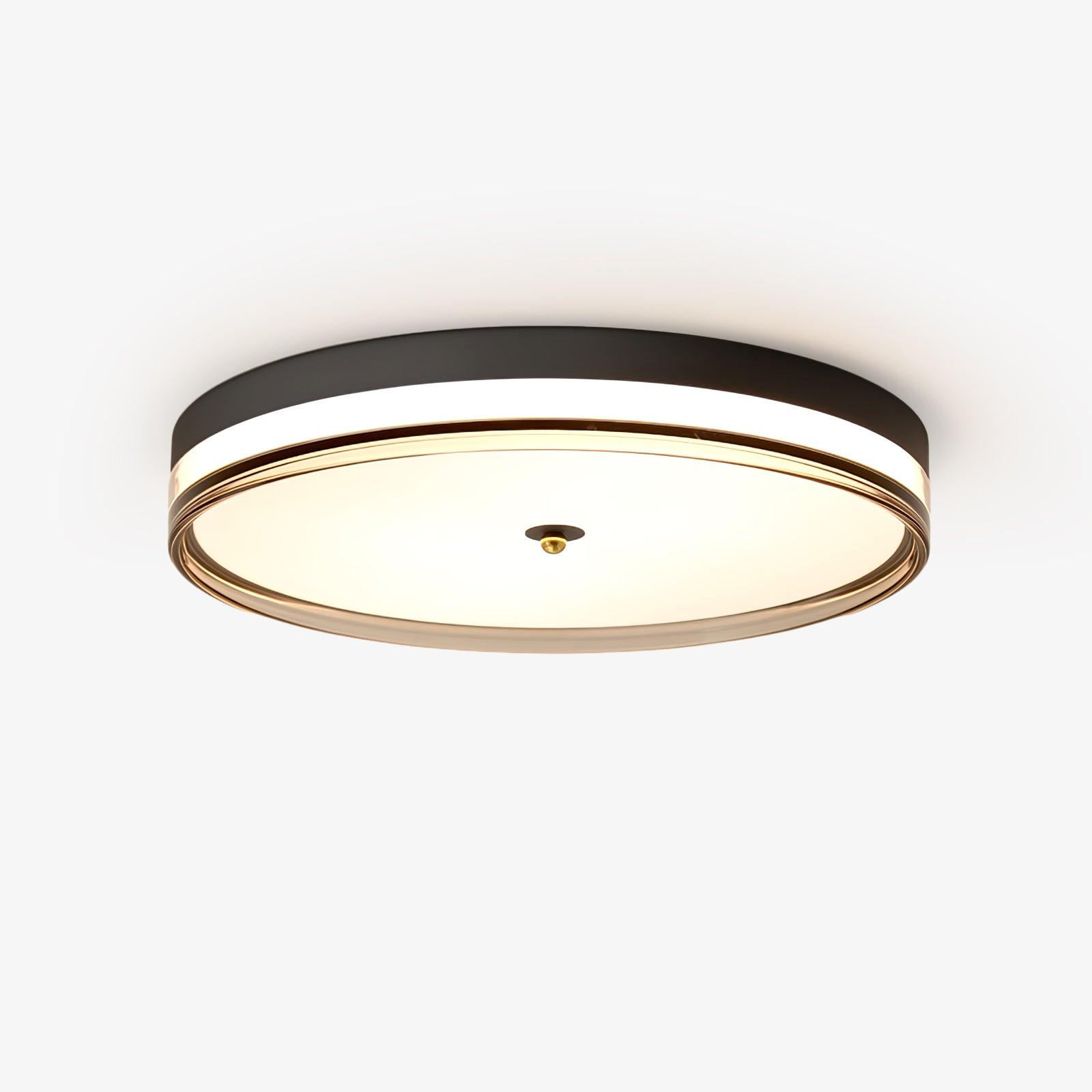 Usolira Modern Minimalistisch Deckenleuchte-Letslighting