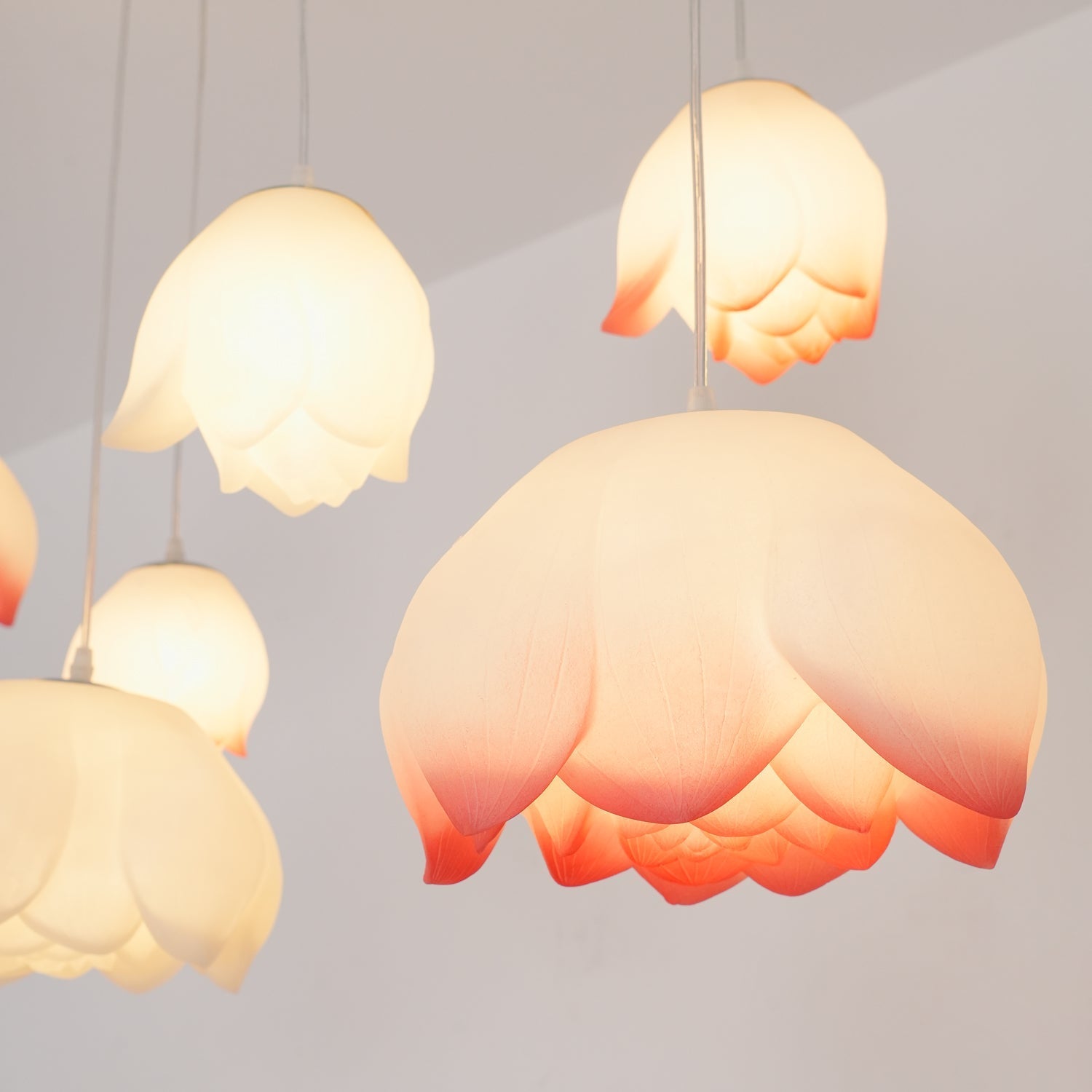 Lotus Chandelier - Blowlighting