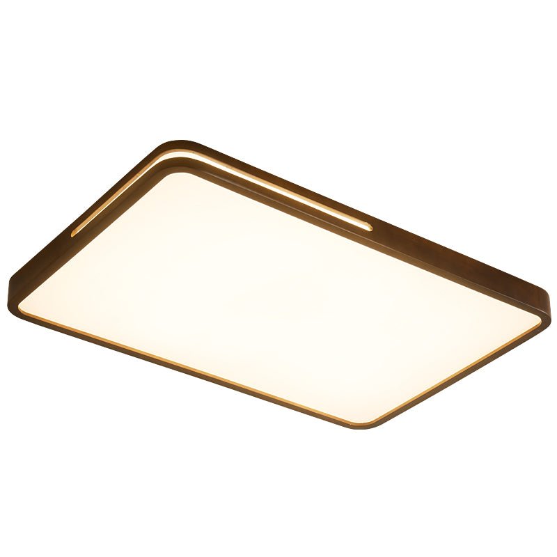 Vizoros Modern Minimalistisch Deckenleuchte-Letslighting