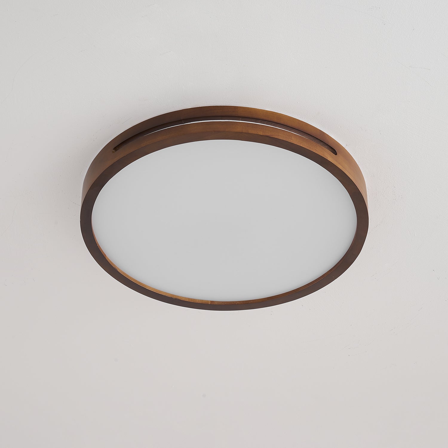 Vizoros Modern Minimalistisch Deckenleuchte-Letslighting