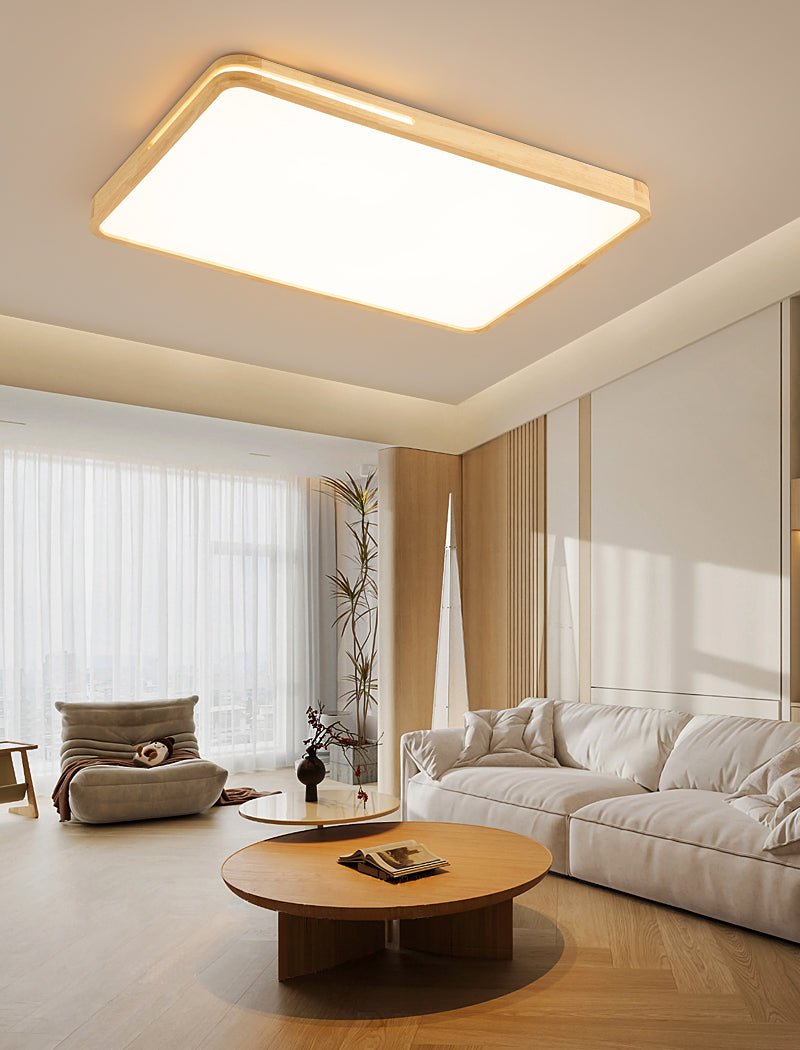 Vizoros Modern Minimalistisch Deckenleuchte-Letslighting