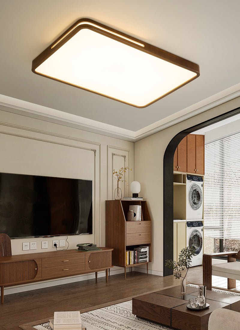 Vizoros Modern Minimalistisch Deckenleuchte-Letslighting