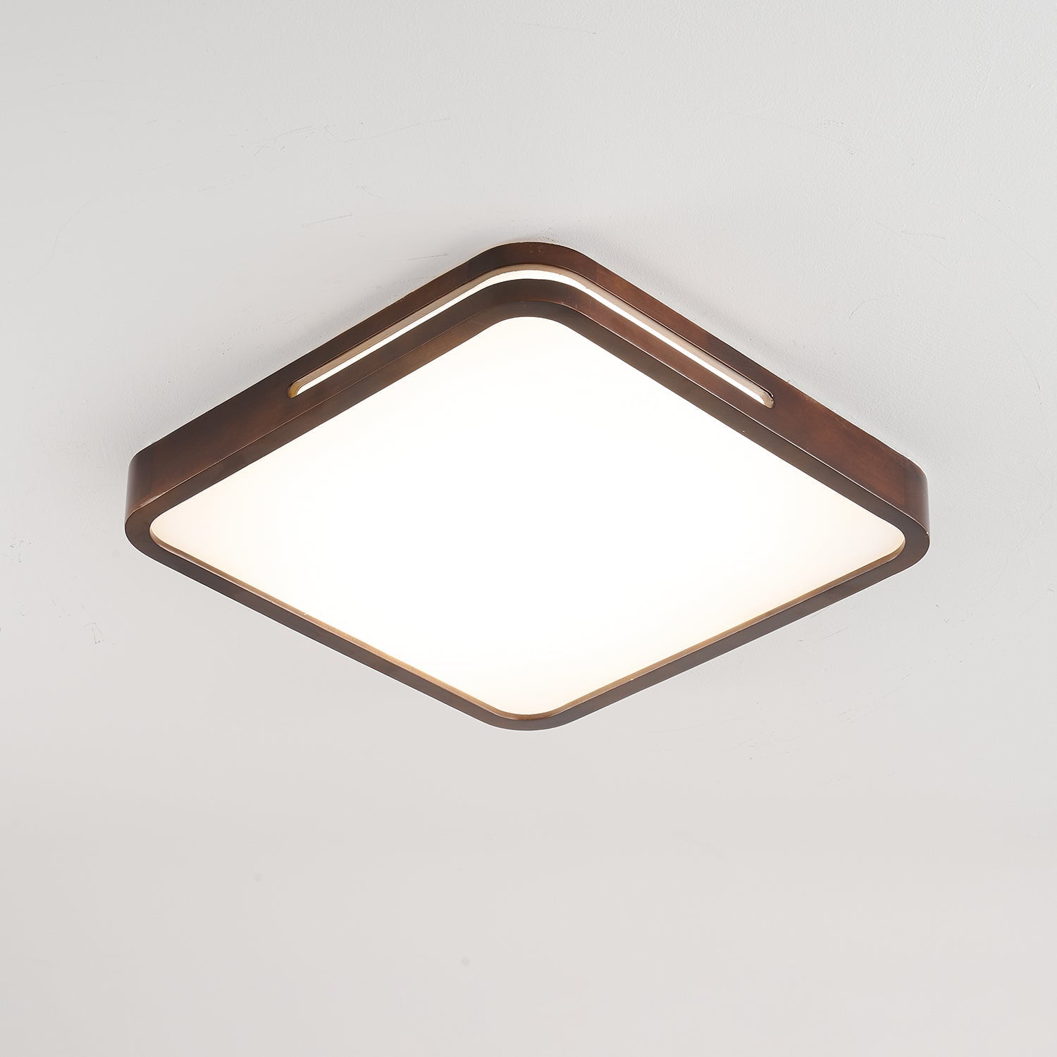Vizoros Modern Minimalistisch Deckenleuchte-Letslighting