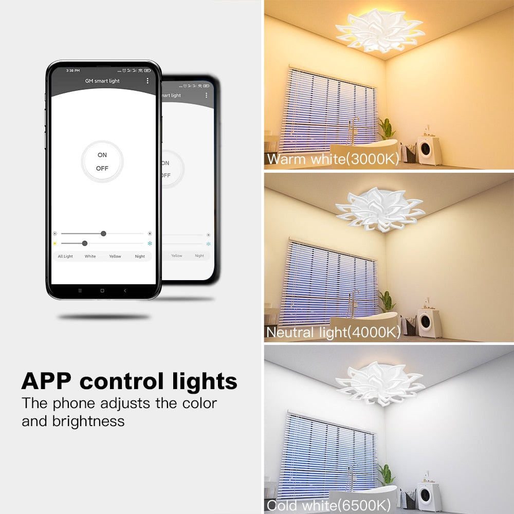 Arisha Moderne Blume LED Deckenleuchte Schwarz/Weiß Wohn/Schlafzimmer Hardware Acryl