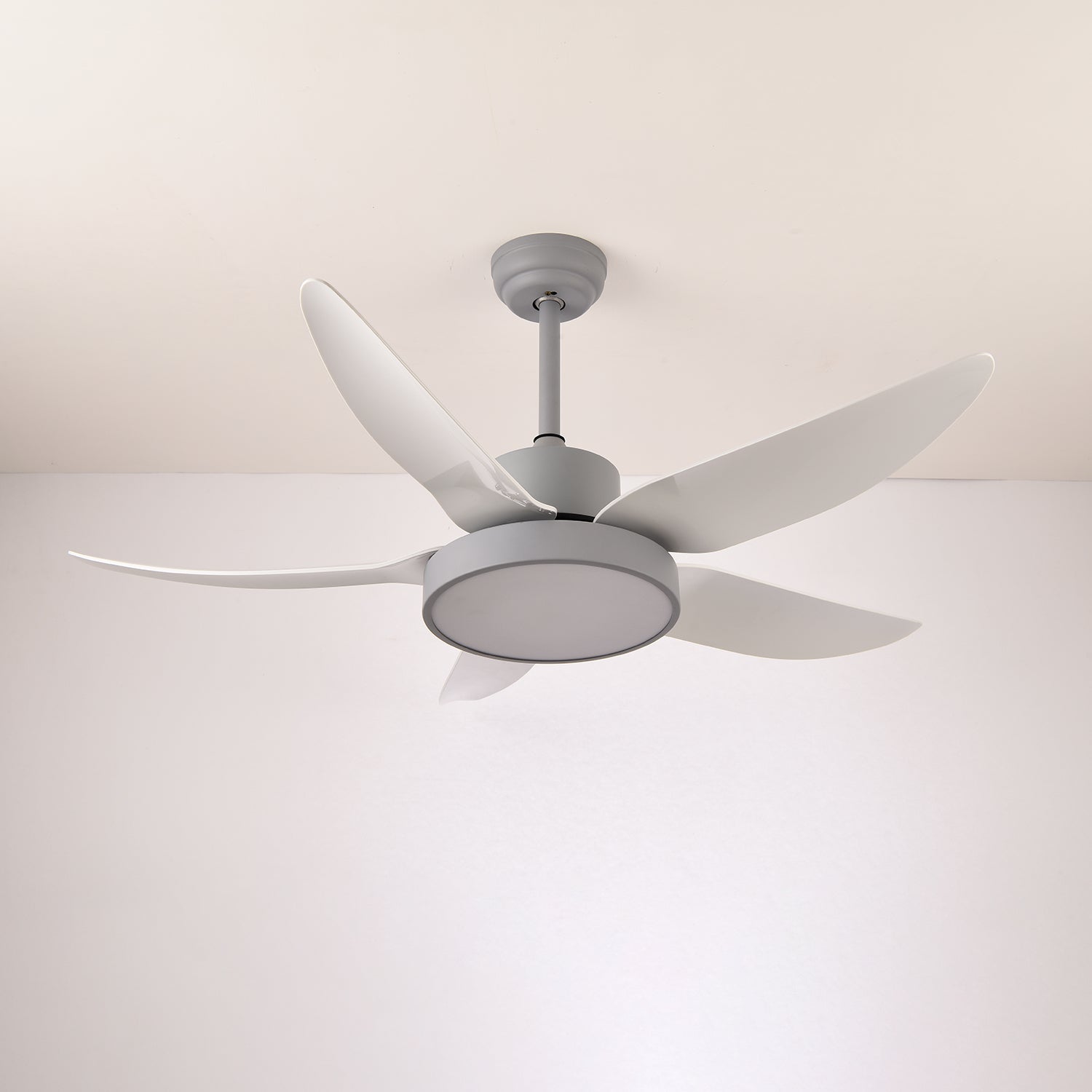 Auron Moderne Deckenventilatorleuchte in Grün