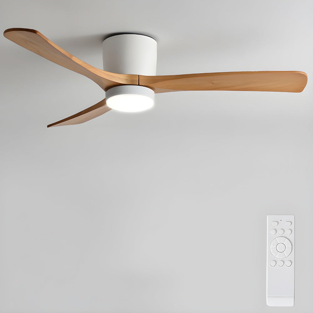 Nahaufnahme des Metallrahmens und Acrylschirms des Elena Ventilators