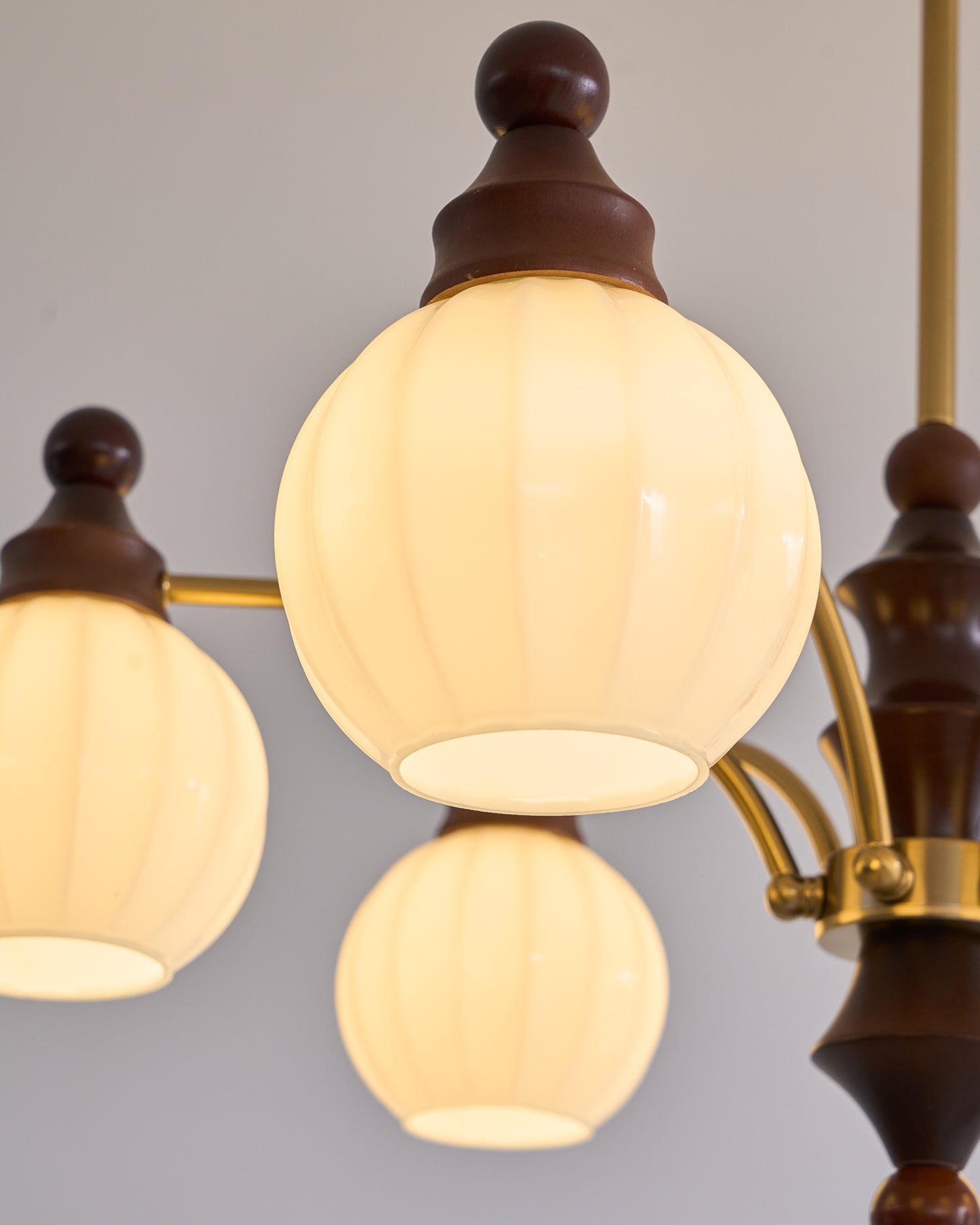 Lustra Chandelier Blossom with Glass Shades-Letslighting