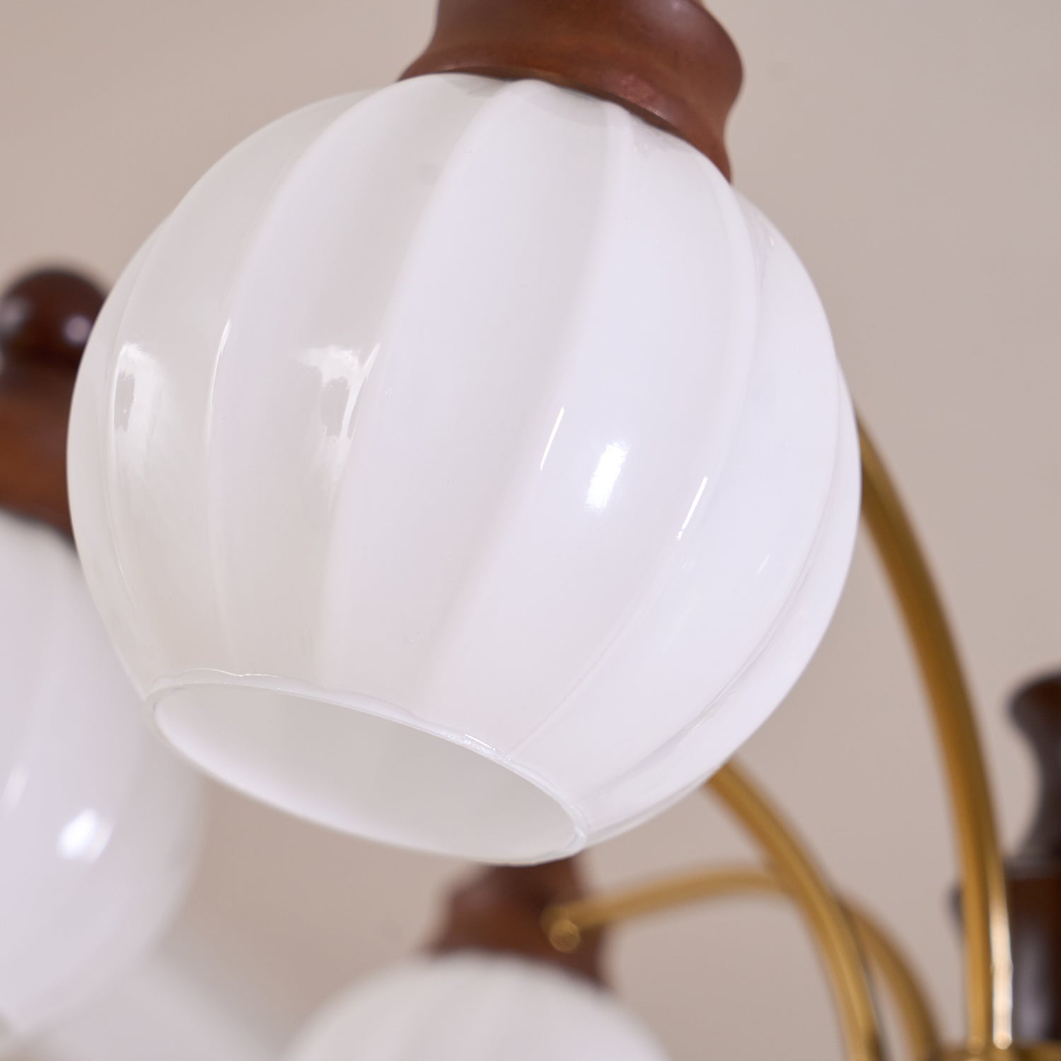 Lustra Chandelier Blossom with Glass Shades-Letslighting