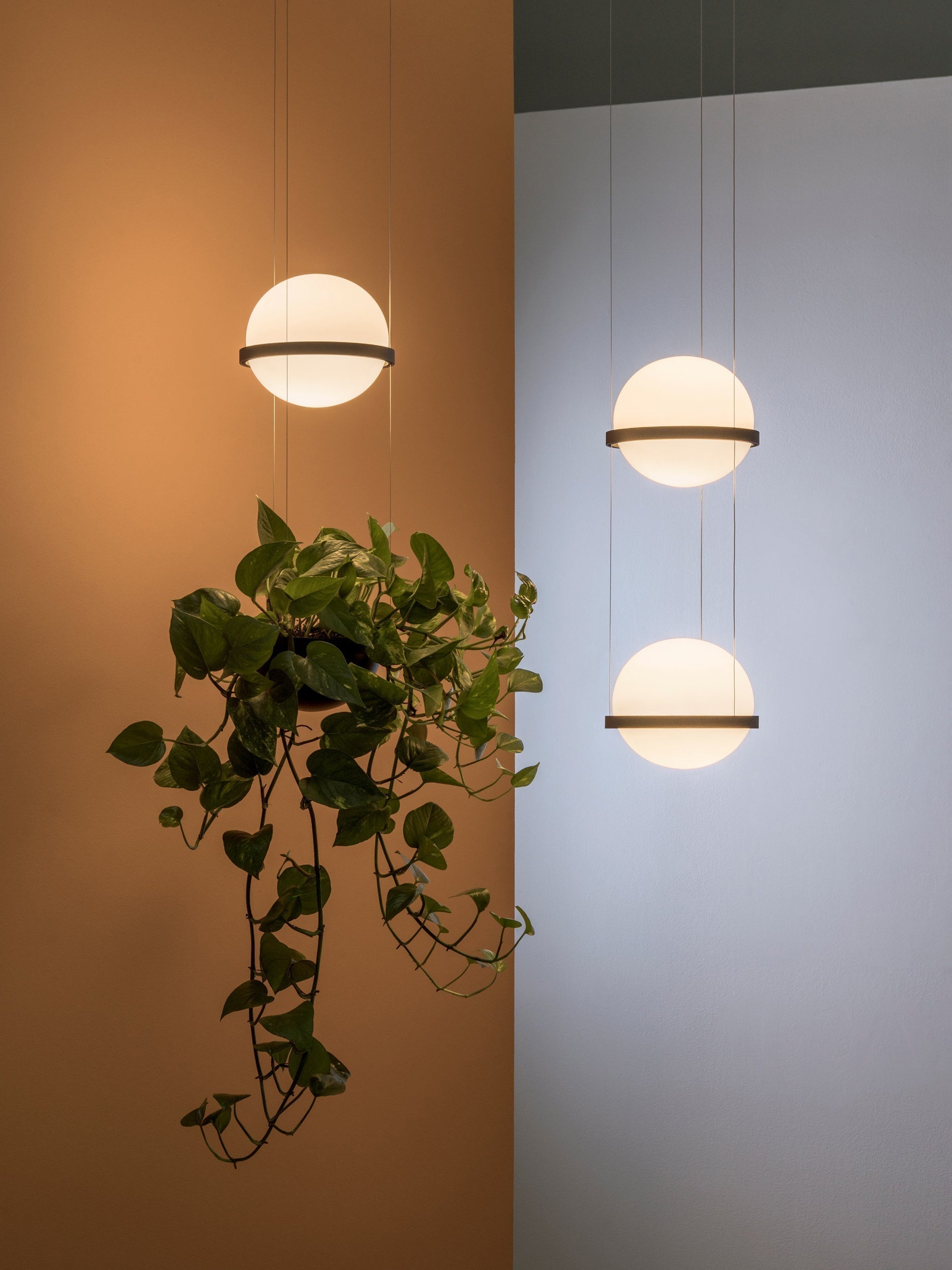 Xenith Zeitgenössisch Pendelleuchte-Letslighting