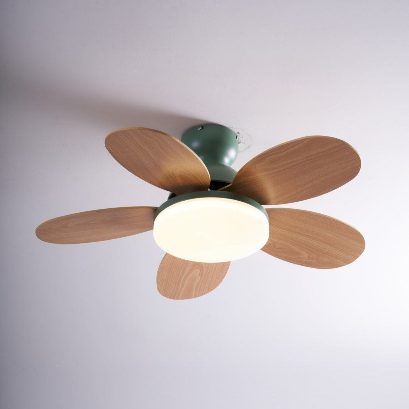 Liora Deckenventilator mit Beleuchtung, zeigt Deckenmontage