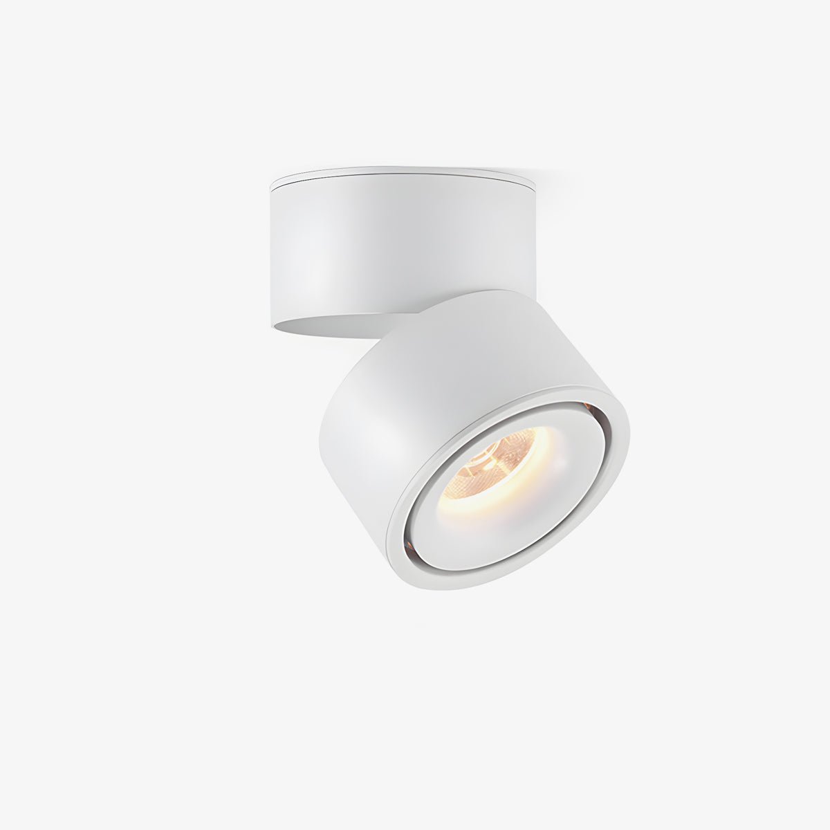 Rotatable Spotlight Ceiling Light - Blowlighting