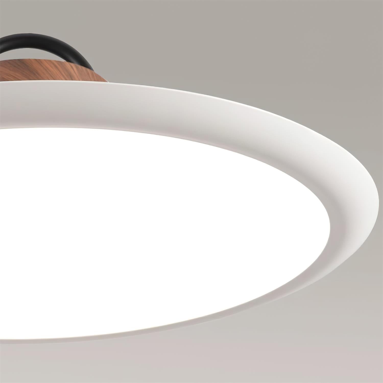 Sloane Modern Pendelleuchte Leuchte-Letslighting