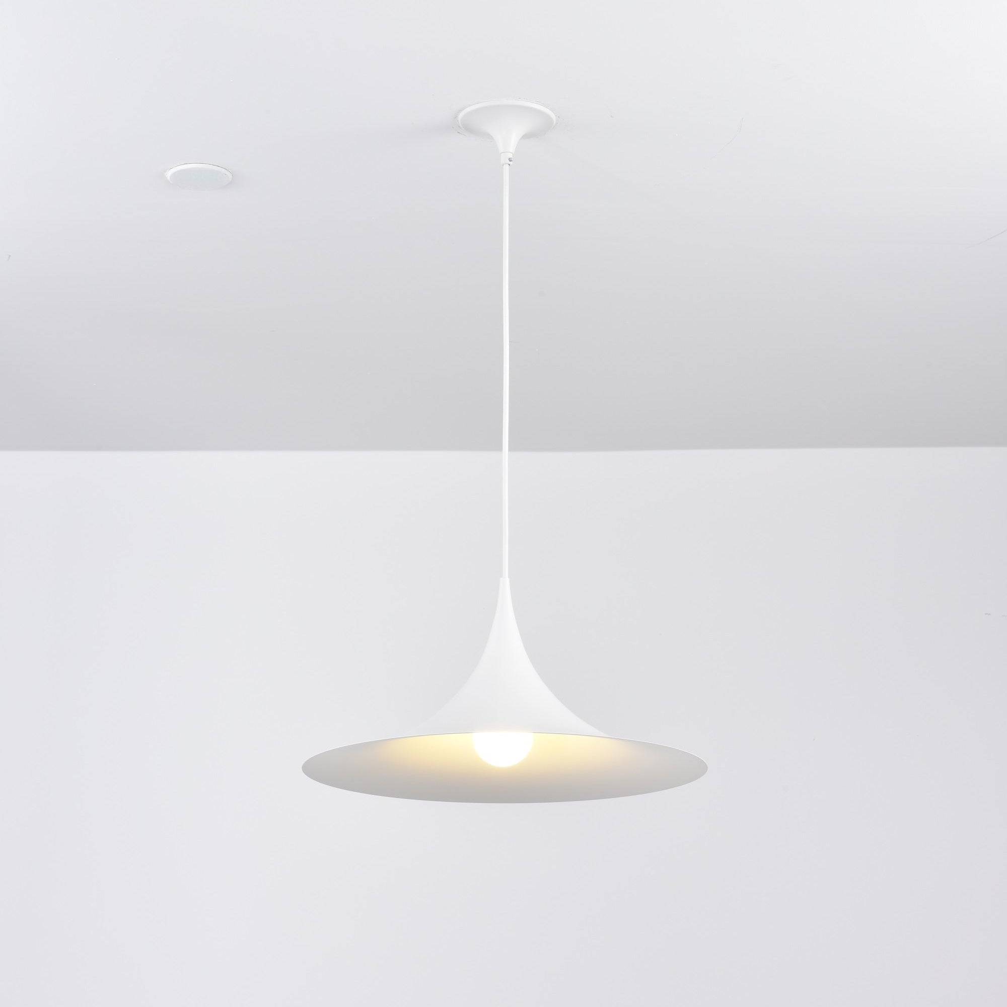 Semi Pendant Light - Blowlighting