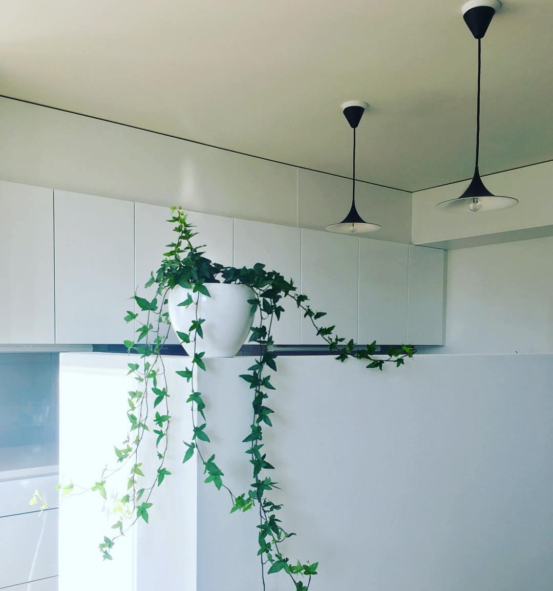 Semi Pendant Light - Blowlighting