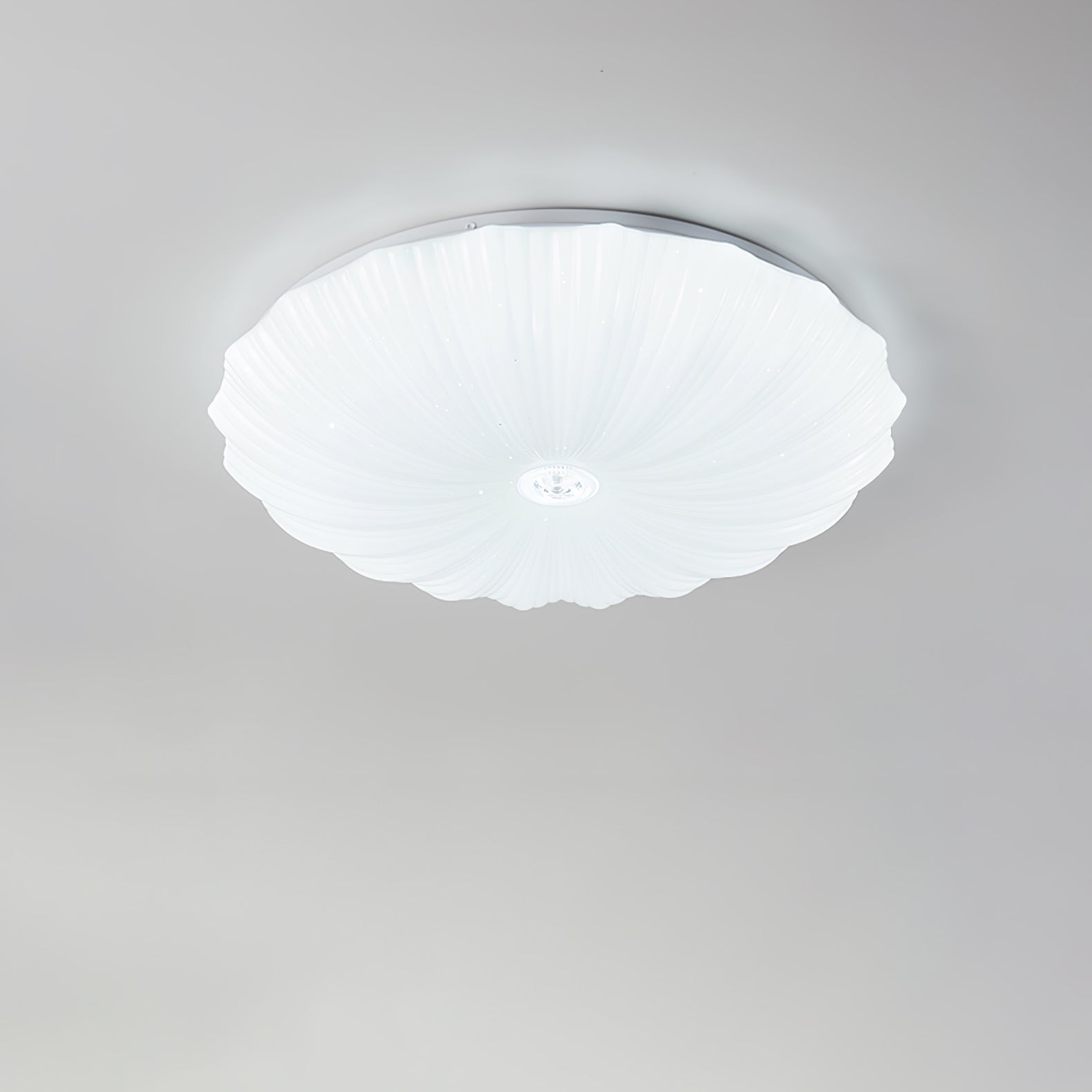 Coloria Nordisch Kunst Muschel Rund Deckenleuchte-Letslighting