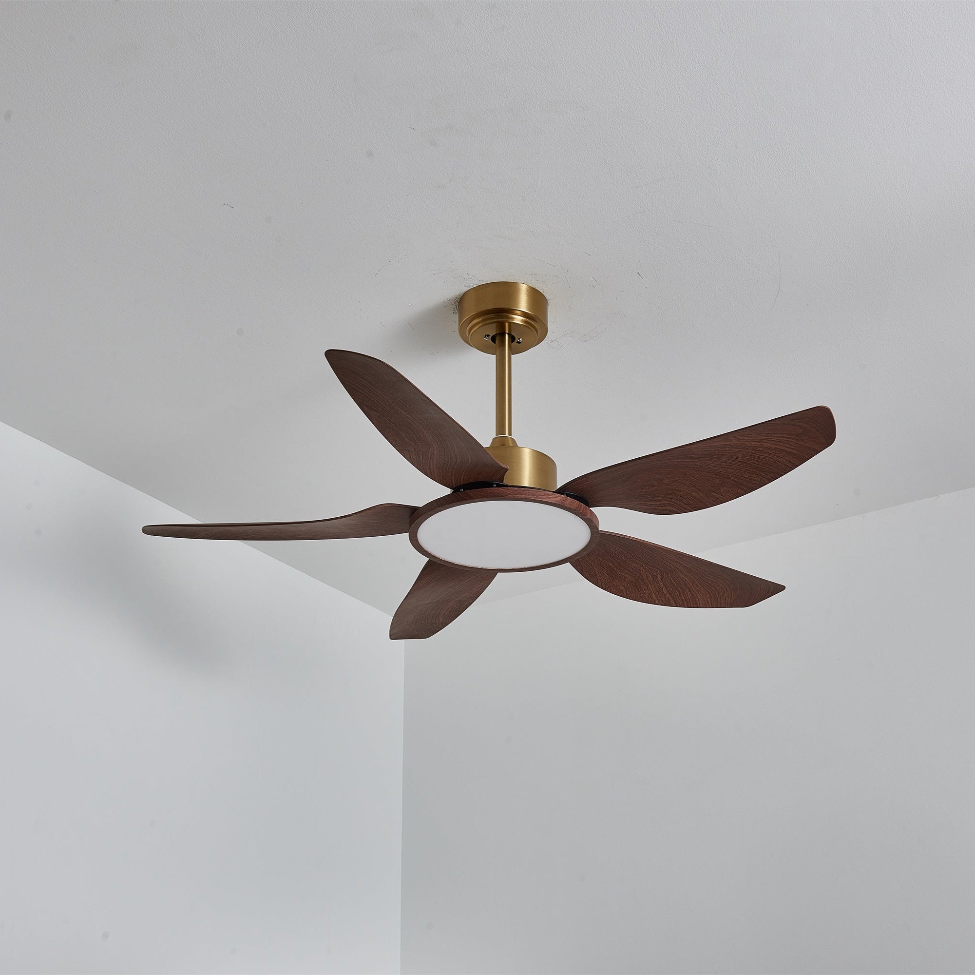 Ansicht des Deckenventilators mit Beleuchtung an der Decke montiert.