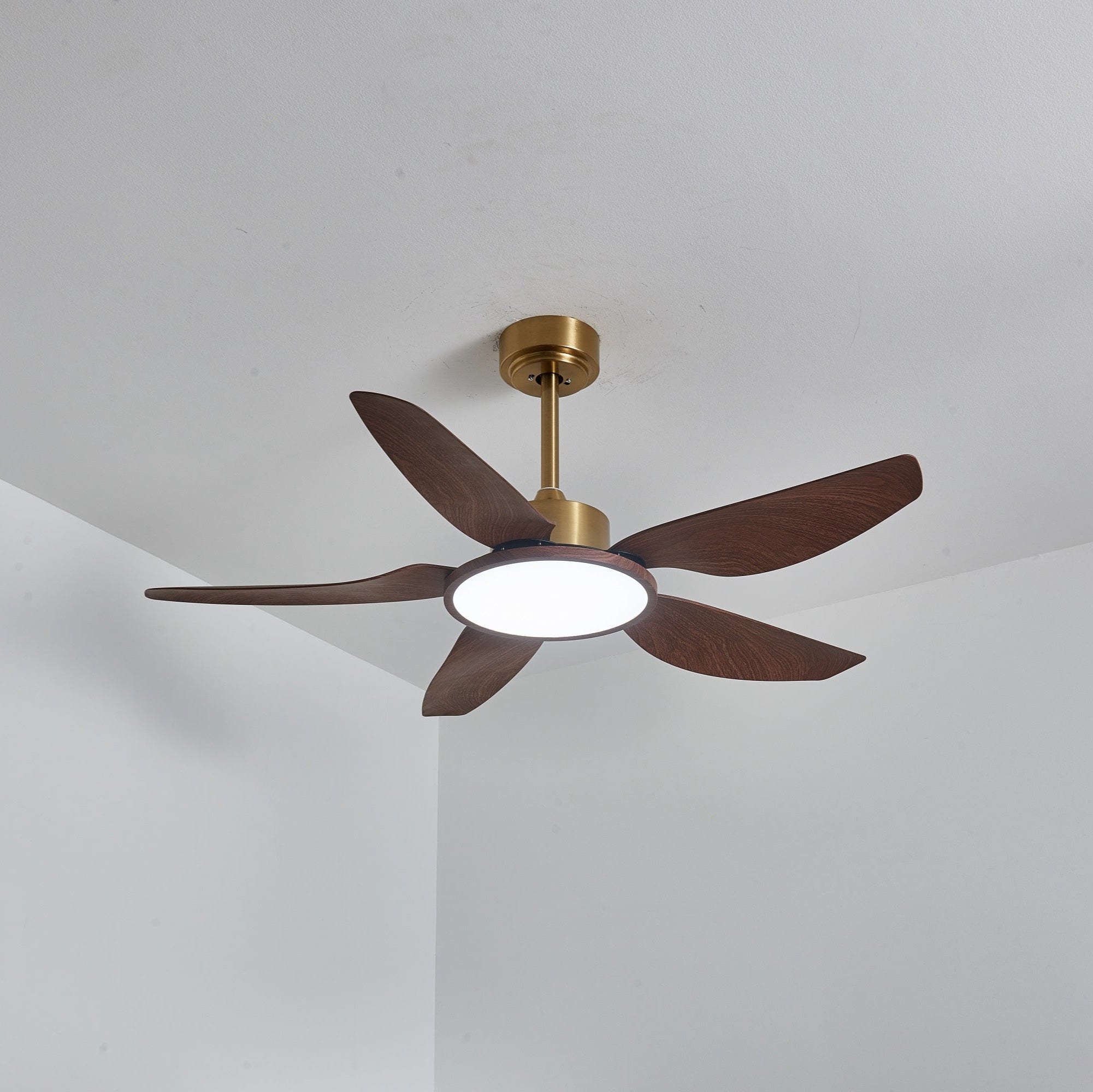 Seitenansicht des Aurelia Deckenventilators mit Beleuchtung, zeigt sein Profil.